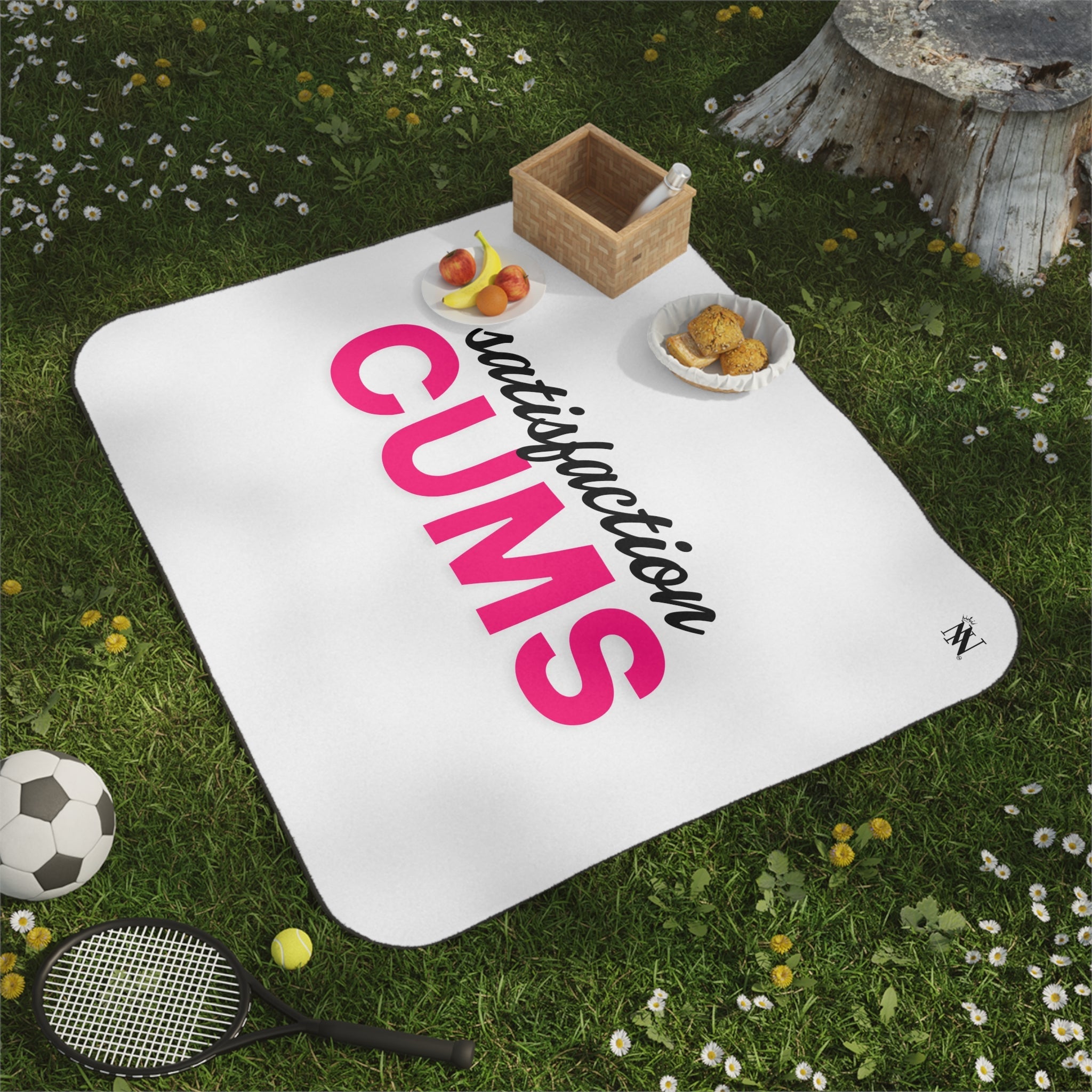 Satisfaction Cums | Mix Match Fun-Flirty Lovers’ Water-Resistant Blankets