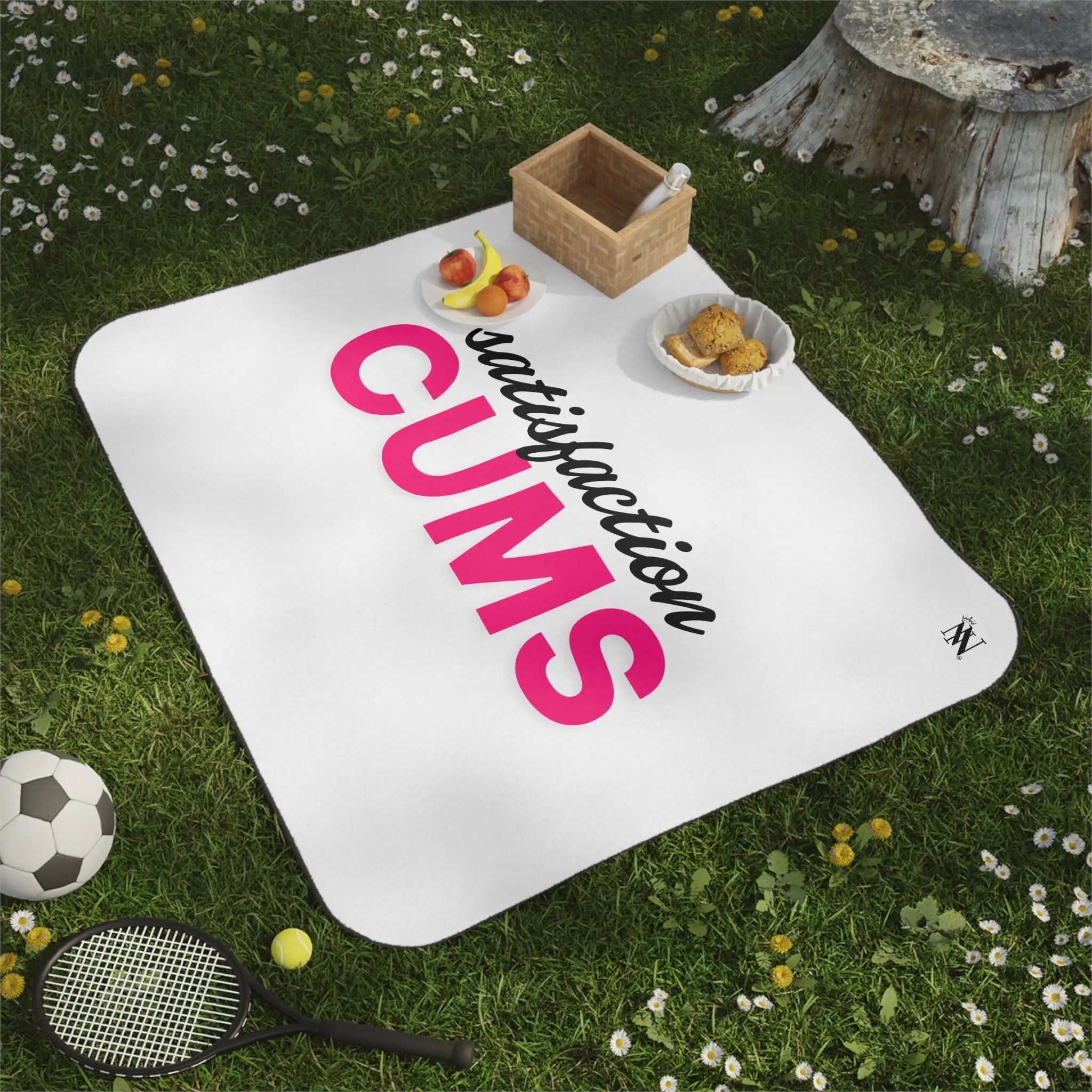 Satisfaction Cums | Mix Match Fun-Flirty Lovers’ Water-Resistant Blankets