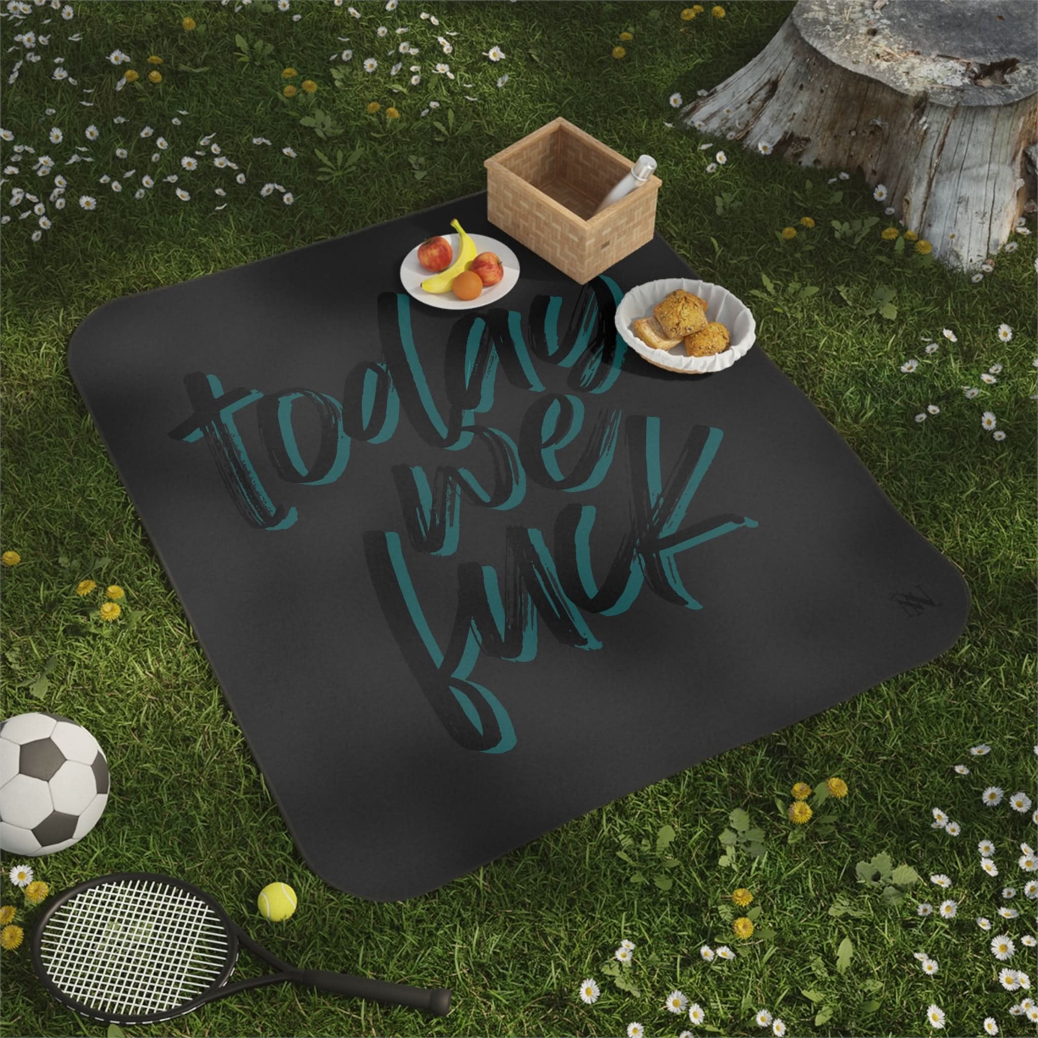Today We Fuck | Mix Match Fun-Flirty Lovers’ Water-Resistant Blankets