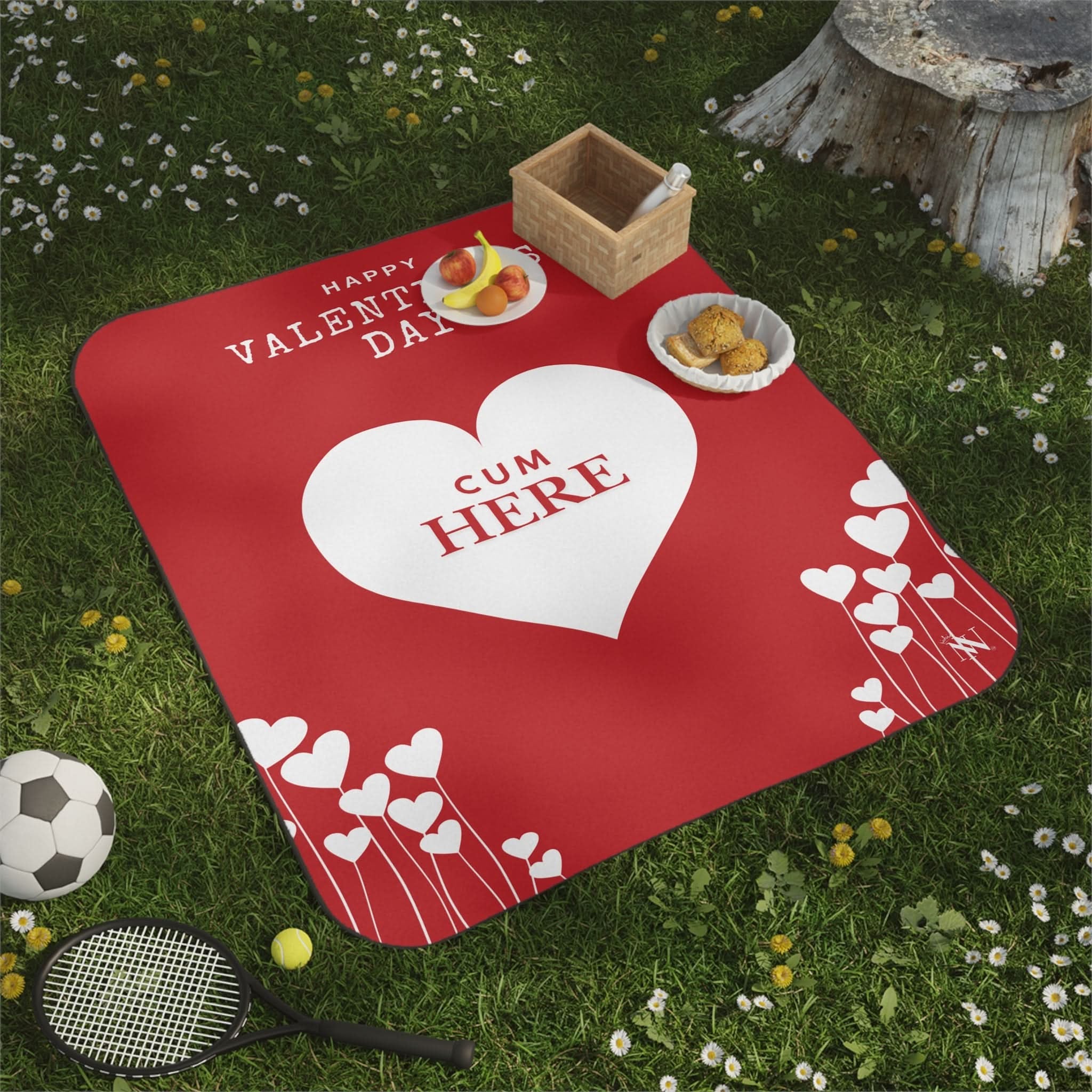 Valentine’s Day Cum Here | Mix Match Fun-Flirty Lovers’ Water-Resistant Blankets