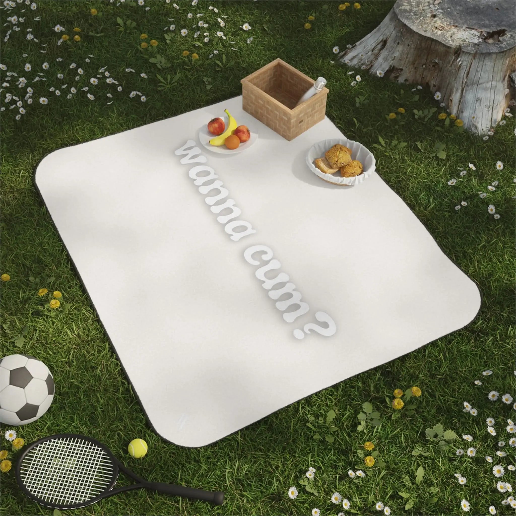 Wanna Cum? | Mix Match Fun-Flirty Lovers’ Water-Resistant Blankets
