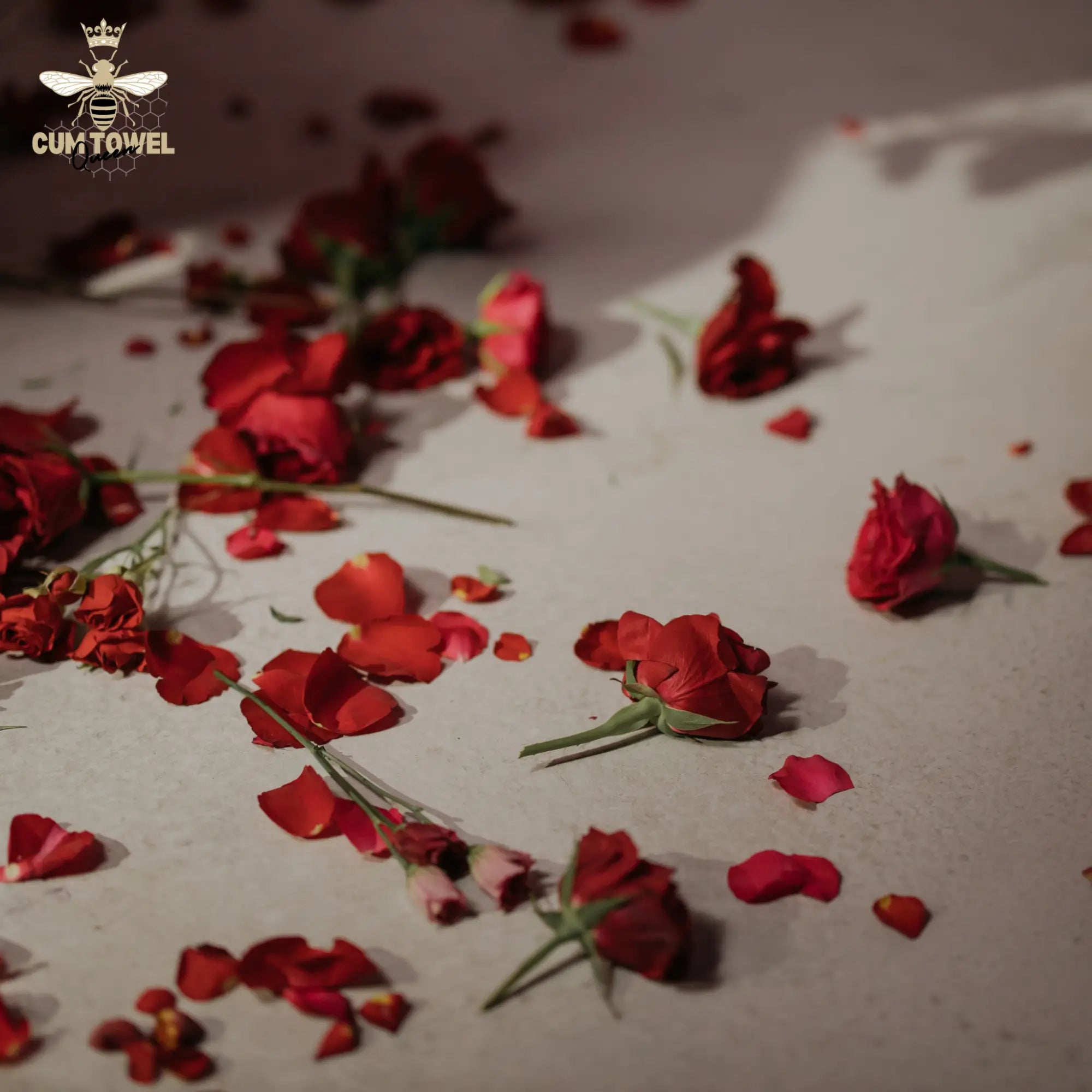 30 Days of Play ~ Day 23: Love Me Down — The Romantic 69