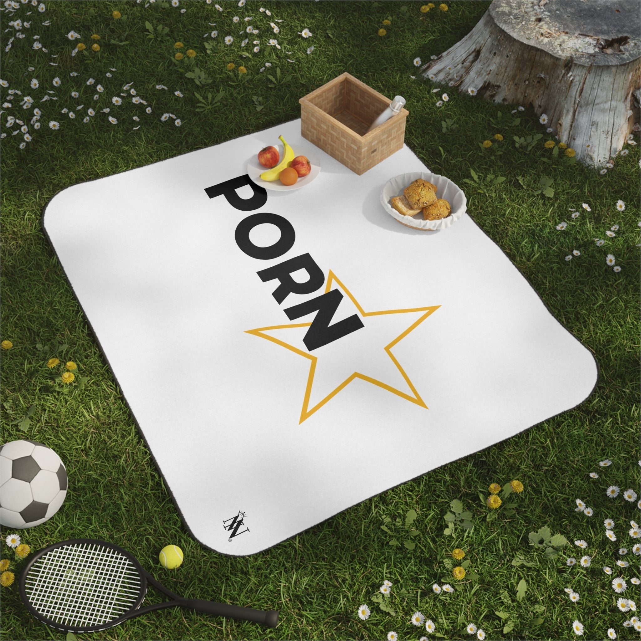 Porn Star | Mix Match Fun-Flirty Lovers’ Water-Resistant Blankets