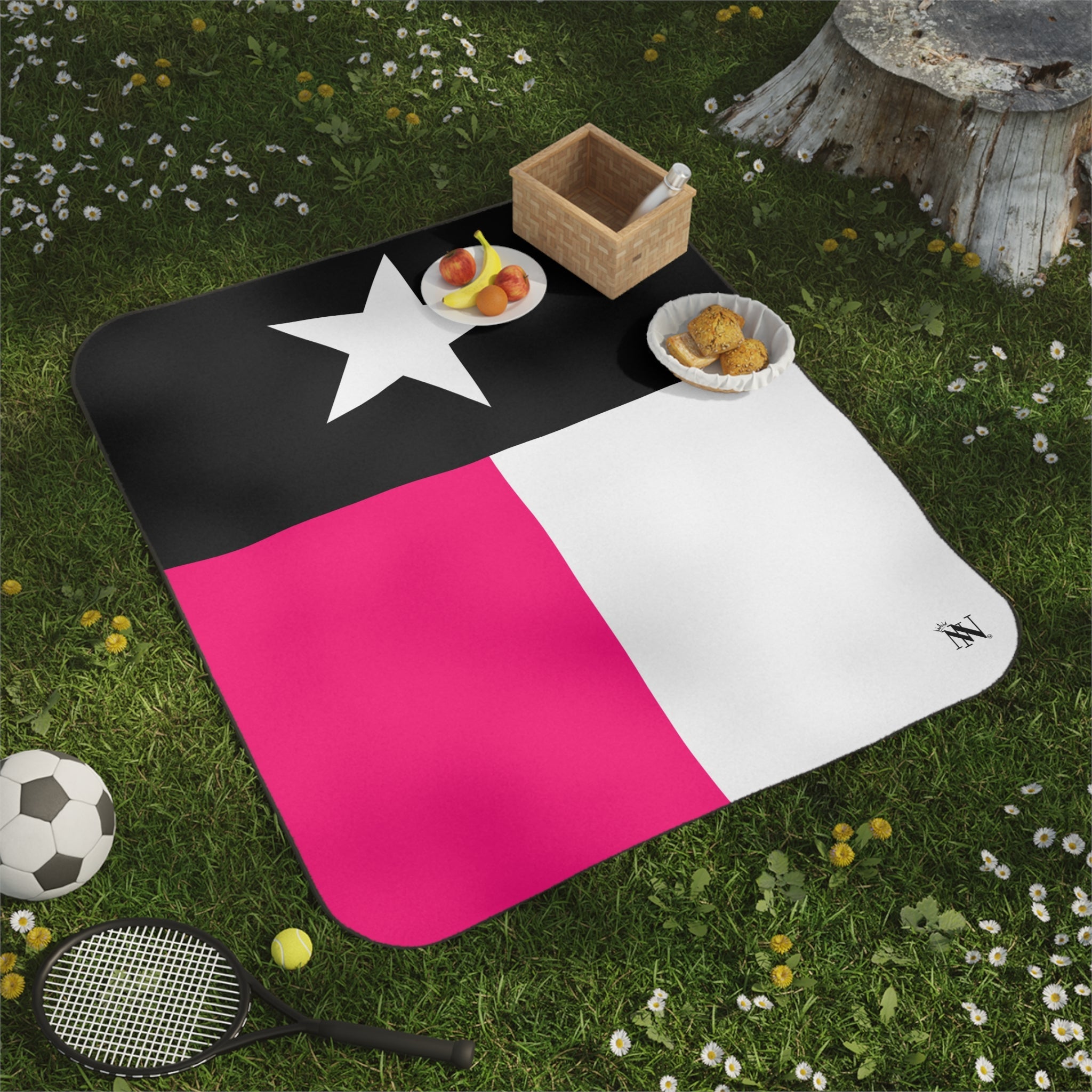 Signature Pink & Black Texas Flag Water Resistant Blanket