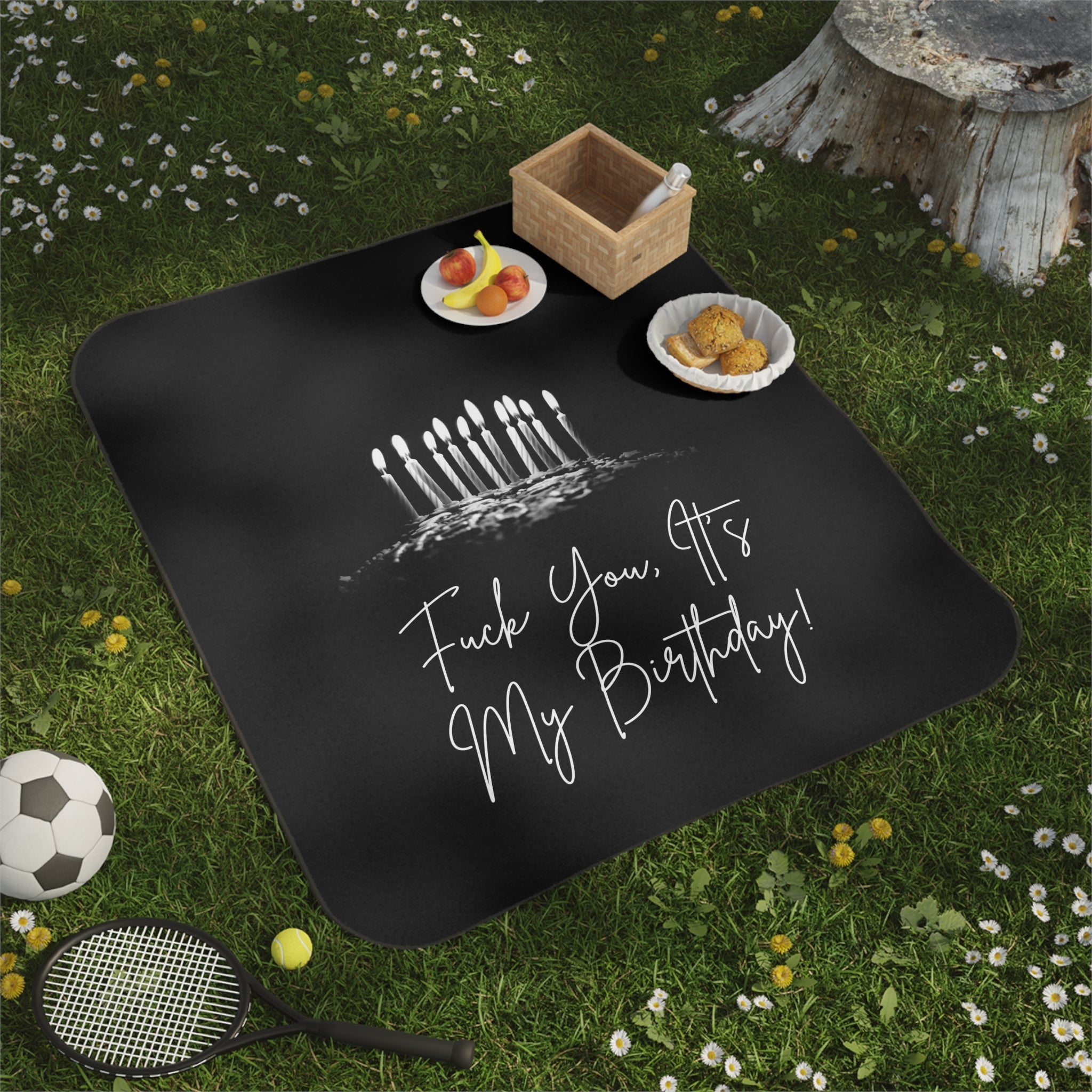 Fuck You It’s My Birthday! | Mix Match Fun-Flirty Lovers’ Water-Resistant Blankets