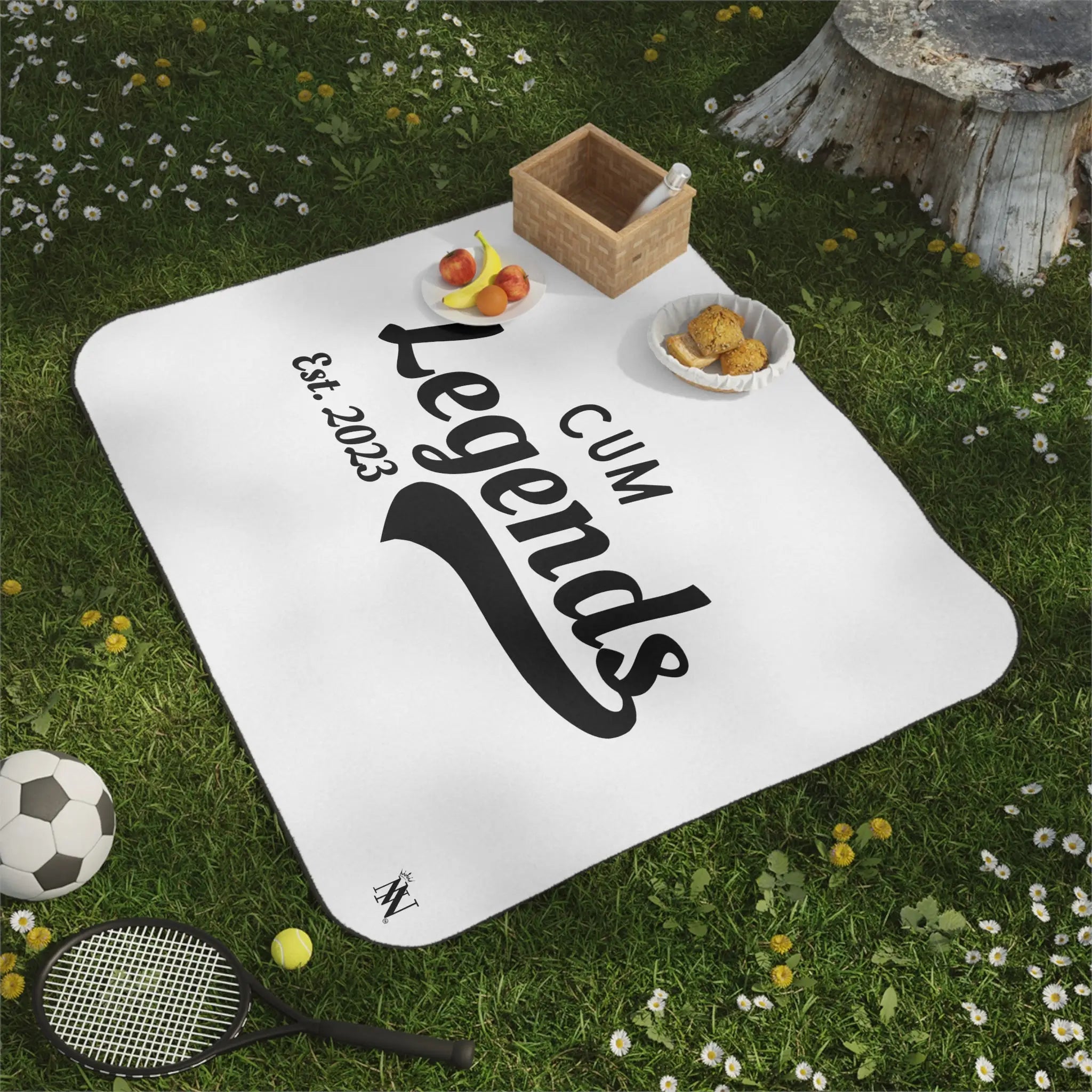 Cum Legends Est 2023 | Mix Match Fun-Flirty Lovers’ Water-Resistant Blankets