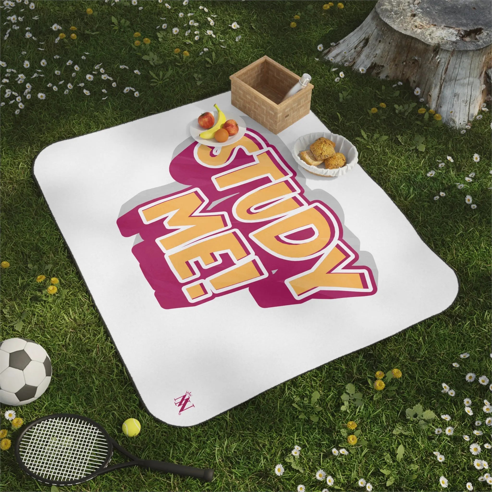 Study Me! | Mix Match Fun-Flirty Lovers’ Water-Resistant Blankets