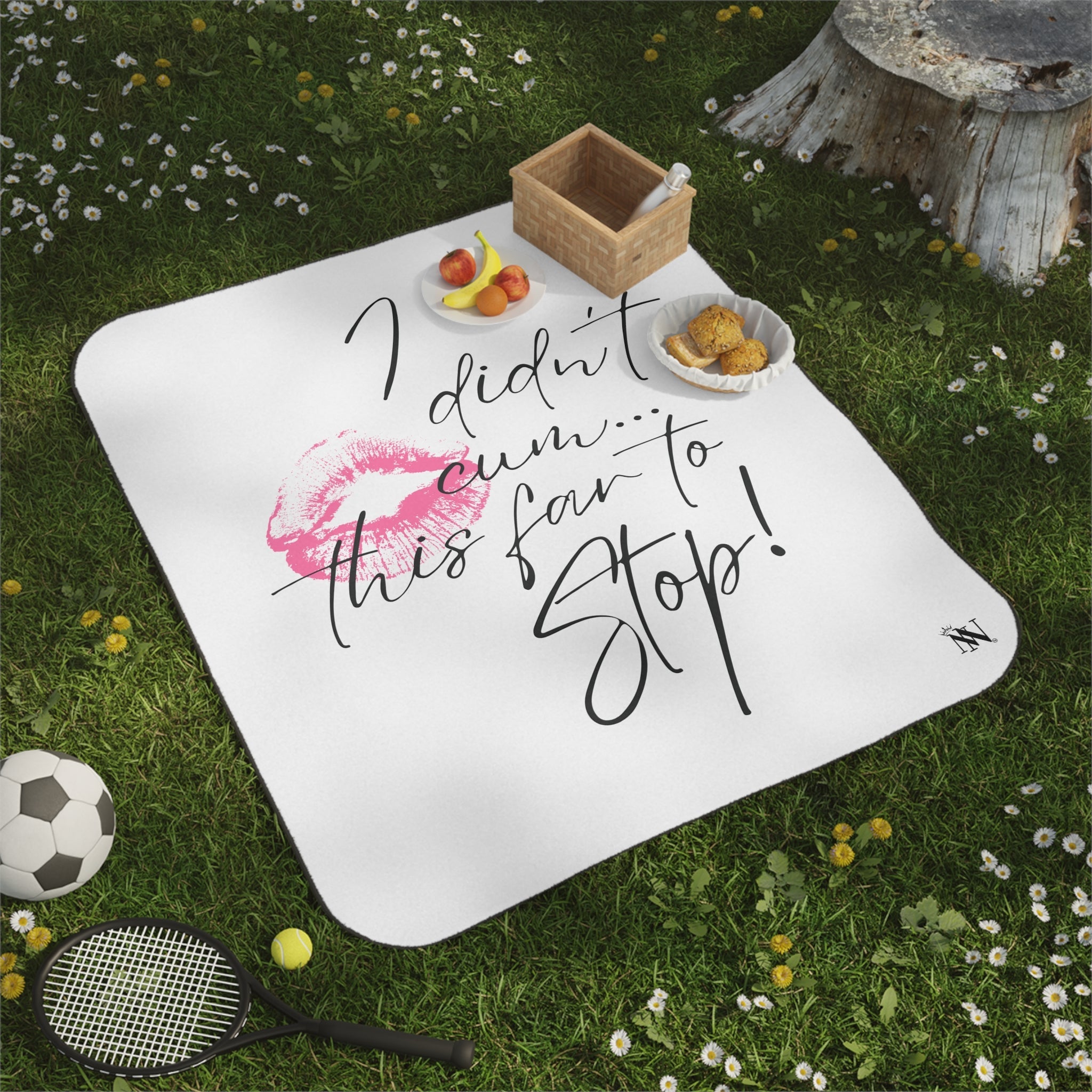 I Didn’t Cum This Far to Stop! | Mix Match Fun-Flirty Lovers’ Water-Resistant Blankets