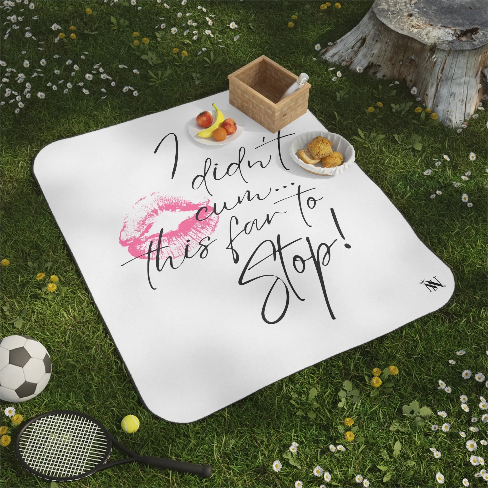I Didn’t Cum This Far to Stop! | Mix Match Fun-Flirty Lovers’ Water-Resistant Blankets