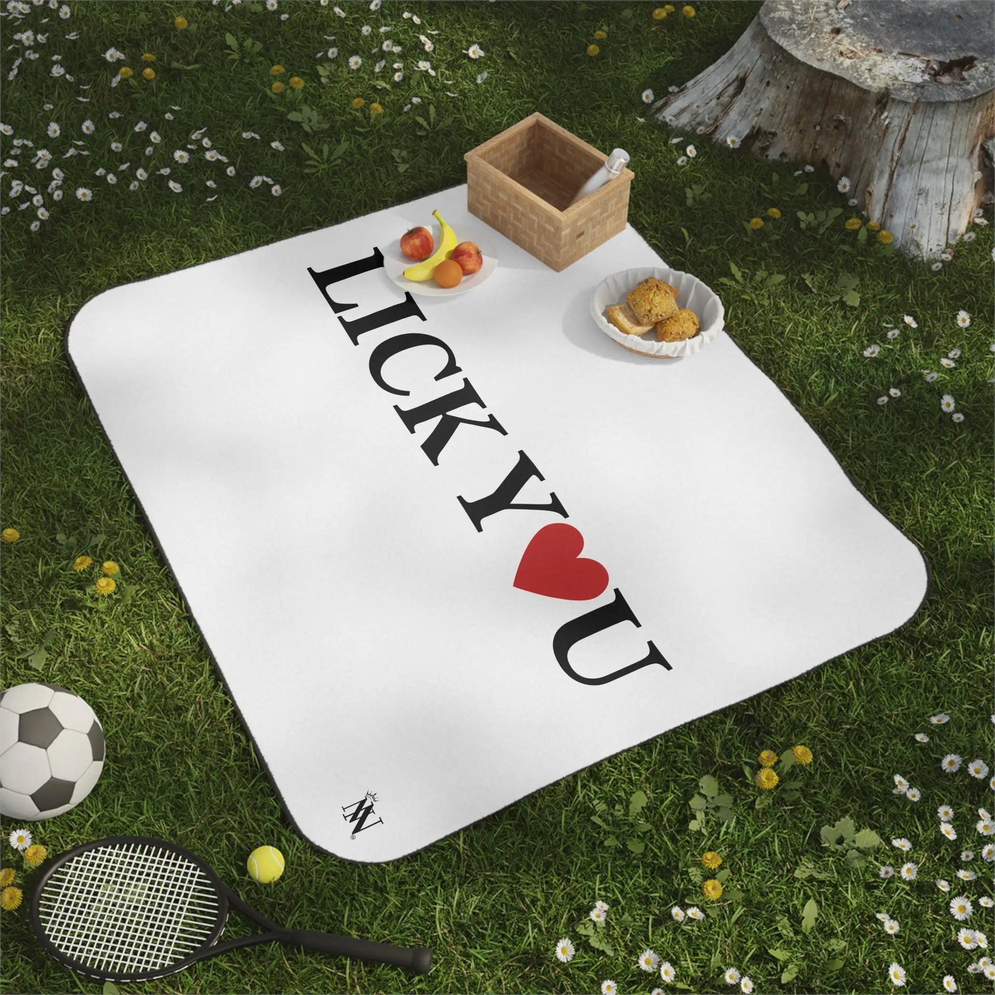Lick You Love | Mix Match Fun-Flirty Lovers’ Water-Resistant Blankets