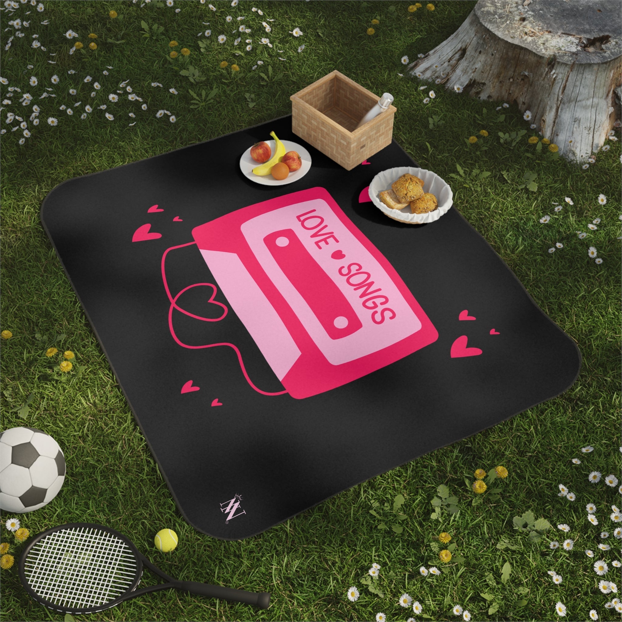 Love Songs Mix Tape Sex Blanket