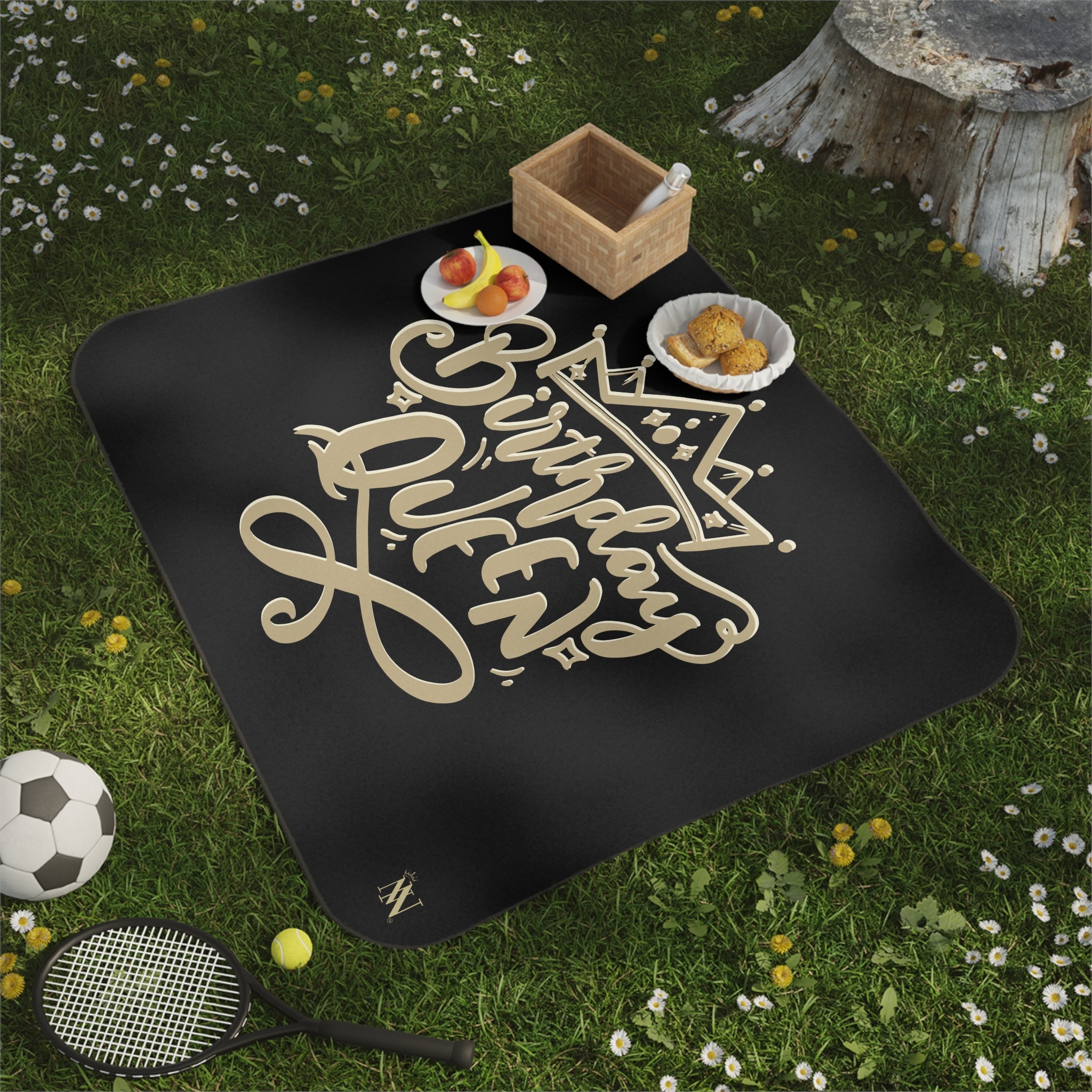 Gold Crown Birthday Queen | Mix Match Fun-Flirty Lovers’ Water-Resistant Blankets