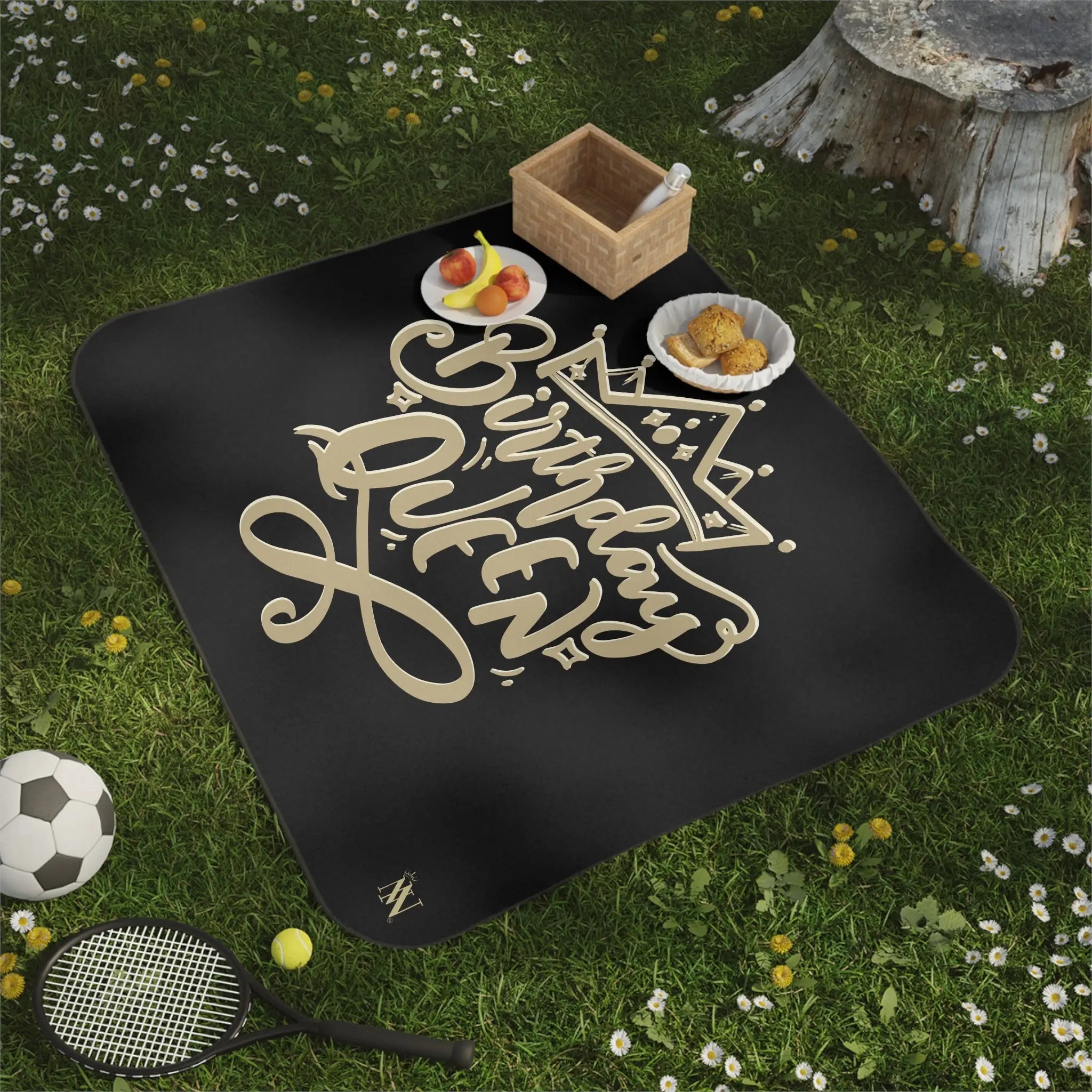 Gold Crown Birthday Queen | Mix Match Fun-Flirty Lovers’ Water-Resistant Blankets