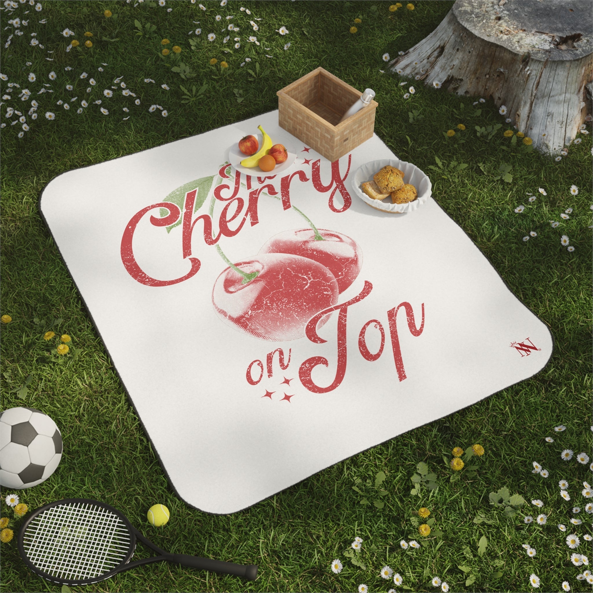 The Cherry on Top | Mix Match Fun-Flirty Lovers’ Water-Resistant Blankets
