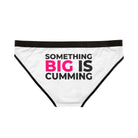 Something Big is Cumming | Mix & Match Women’s Fun-Flirty Lovers’ Panties