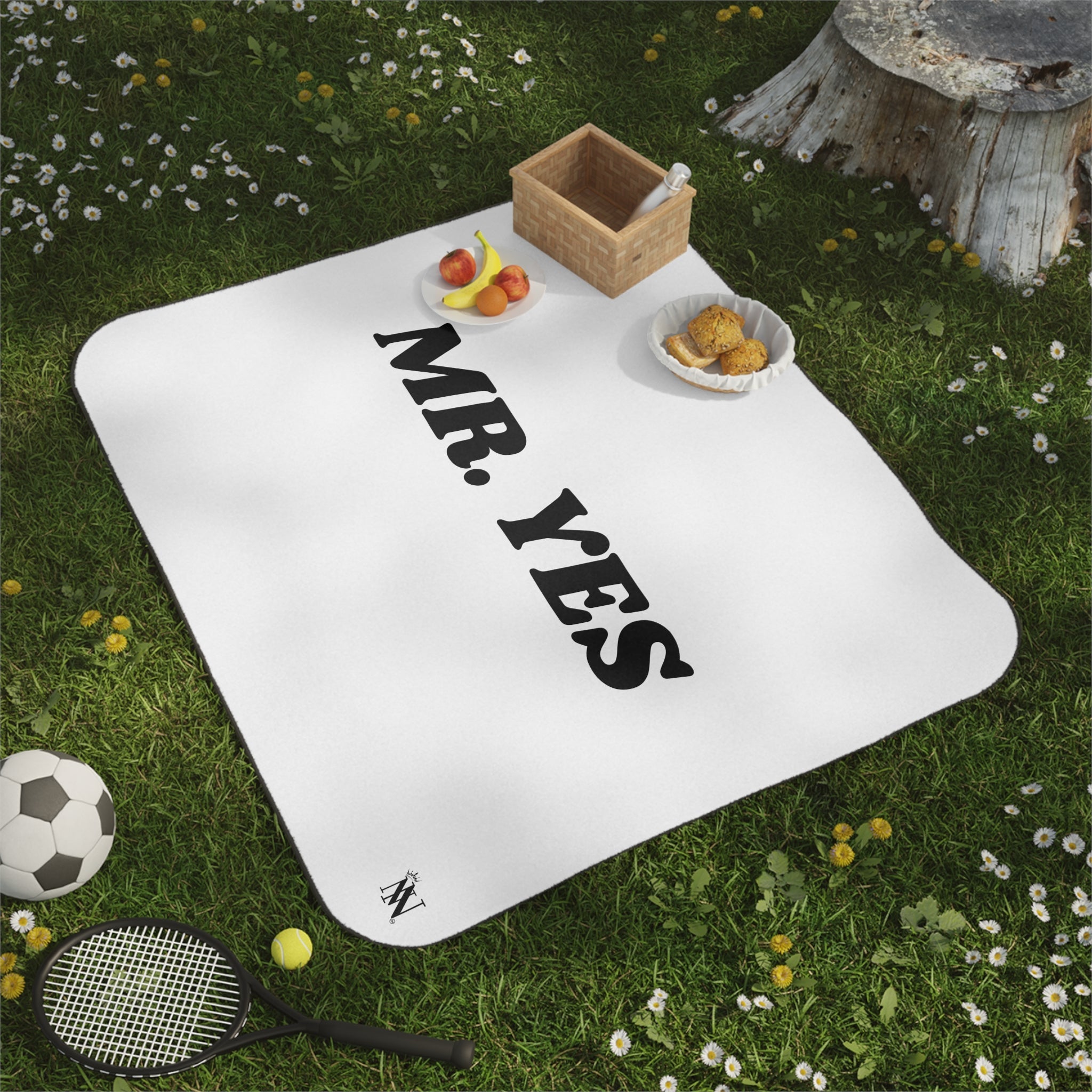 Mr. Yes | Mix Match Fun-Flirty Lovers’ Water-Resistant Blankets