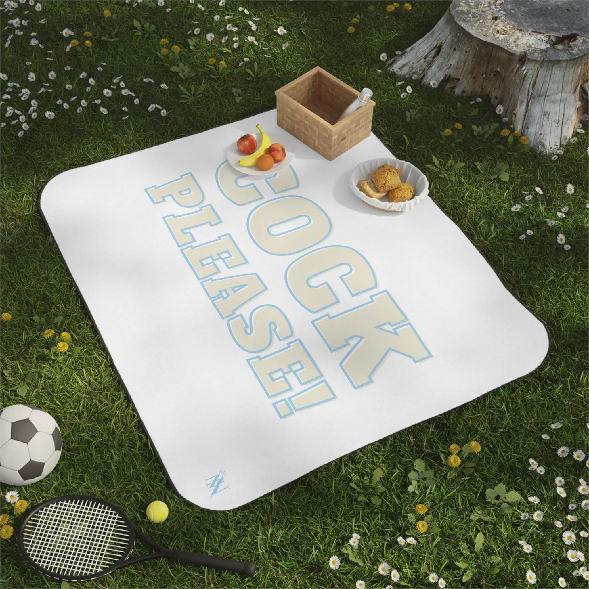 Cock Please! | Mix Match Fun-Flirty Lovers’ Water-Resistant Blankets