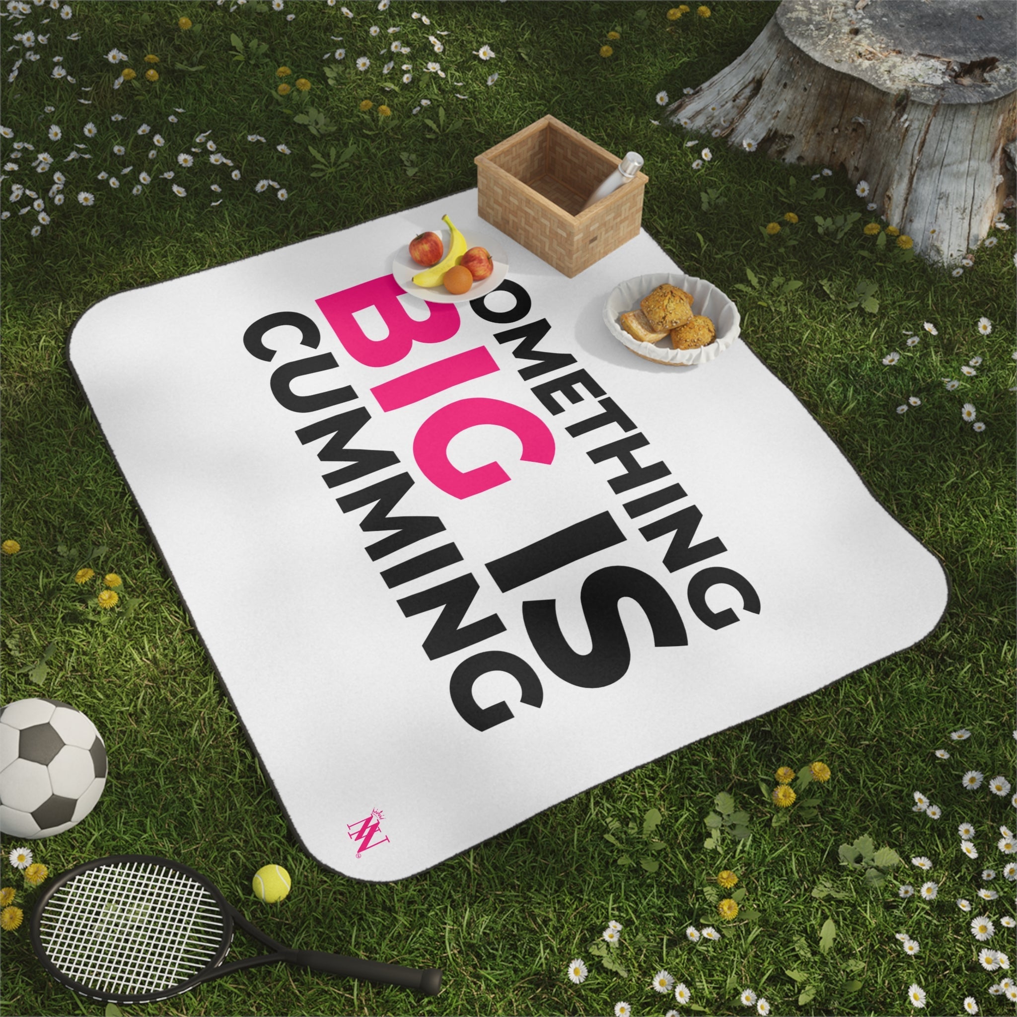 Something Big is Cumming | Mix Match Fun-Flirty Lovers’ Water-Resistant Blankets