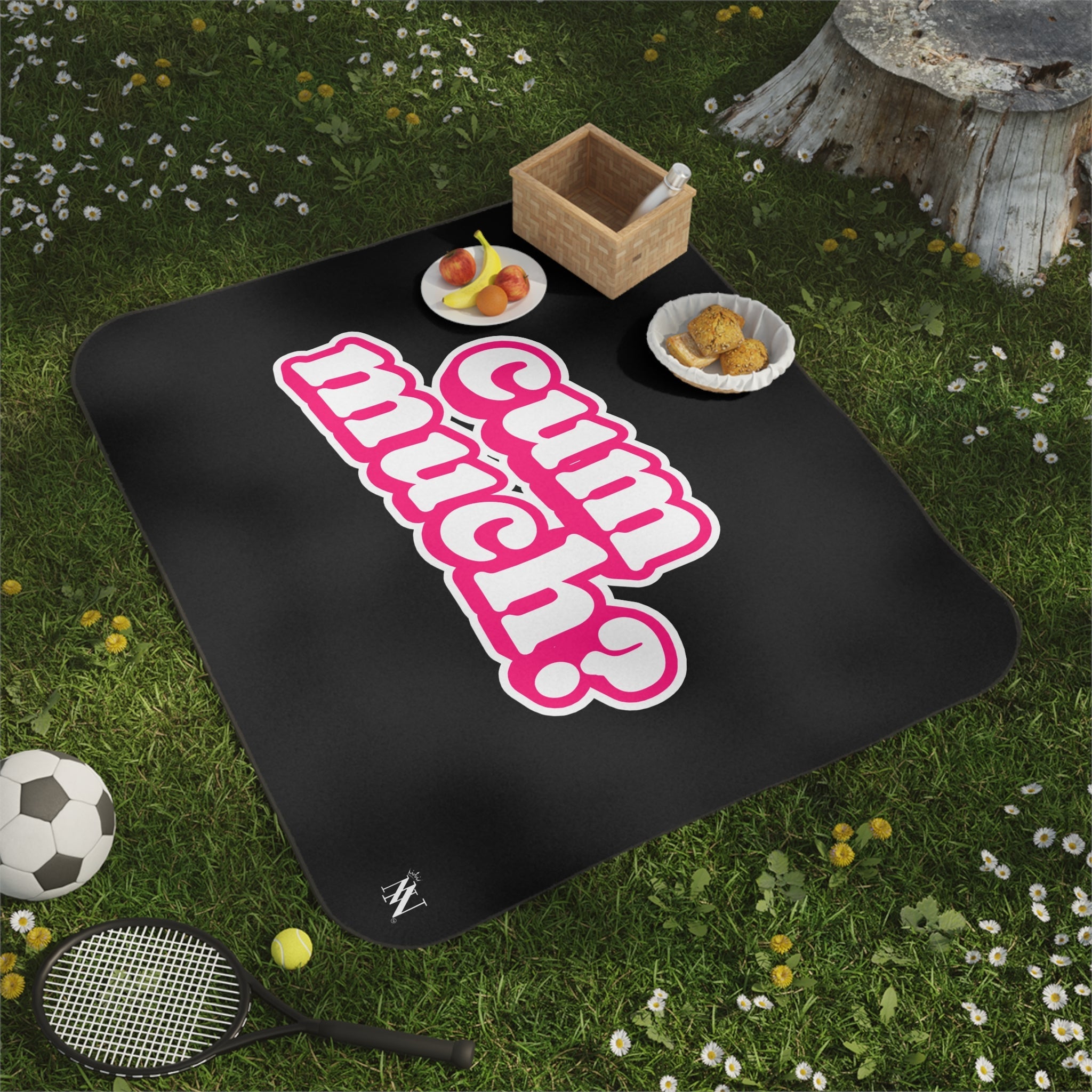 Cum Much? | Mix Match Fun-Flirty Lovers’ Water-Resistant Blankets