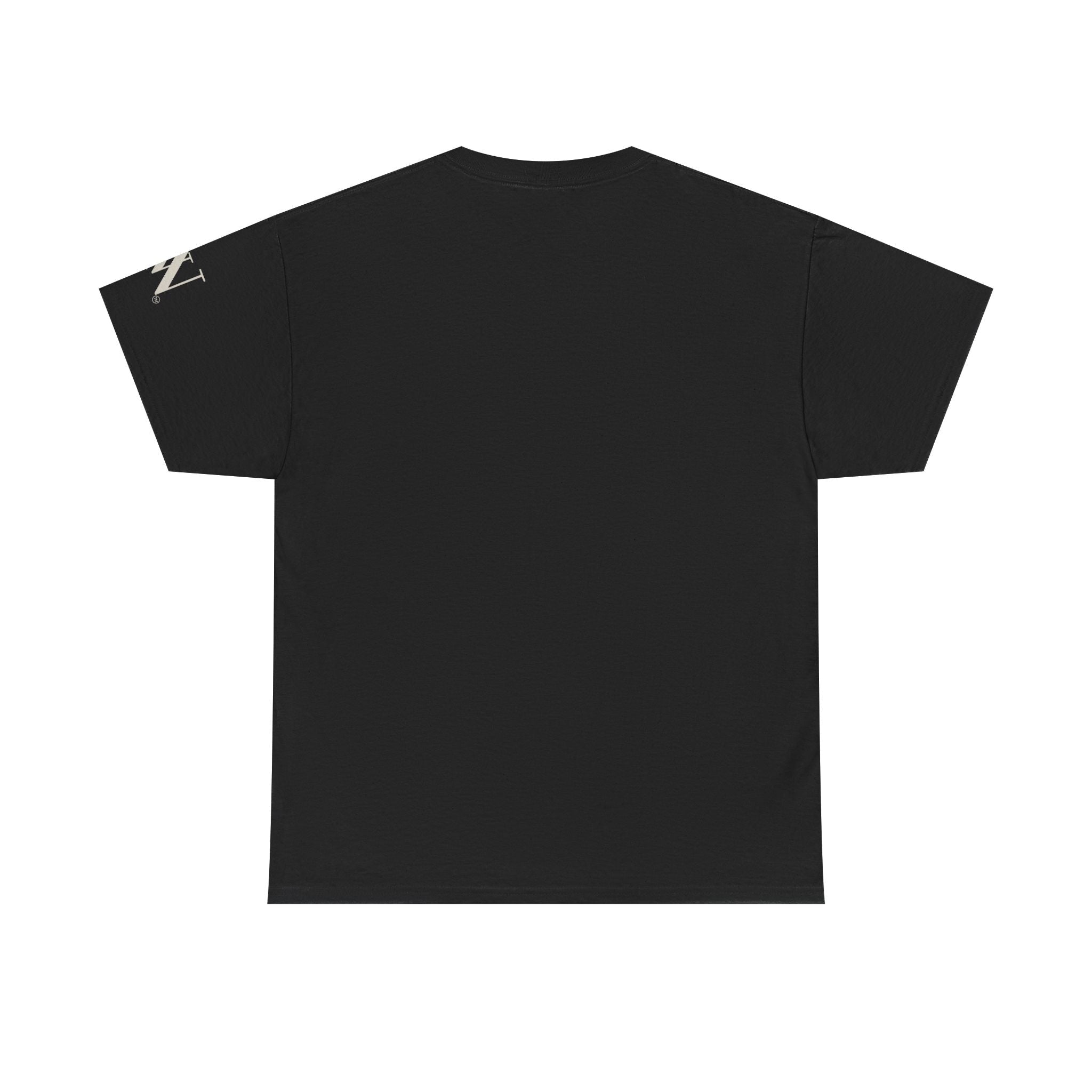 Be Obscene Movie Poster | Mix & Match Cotton Unisex Fun-Flirty Lovers’ T-Shirts