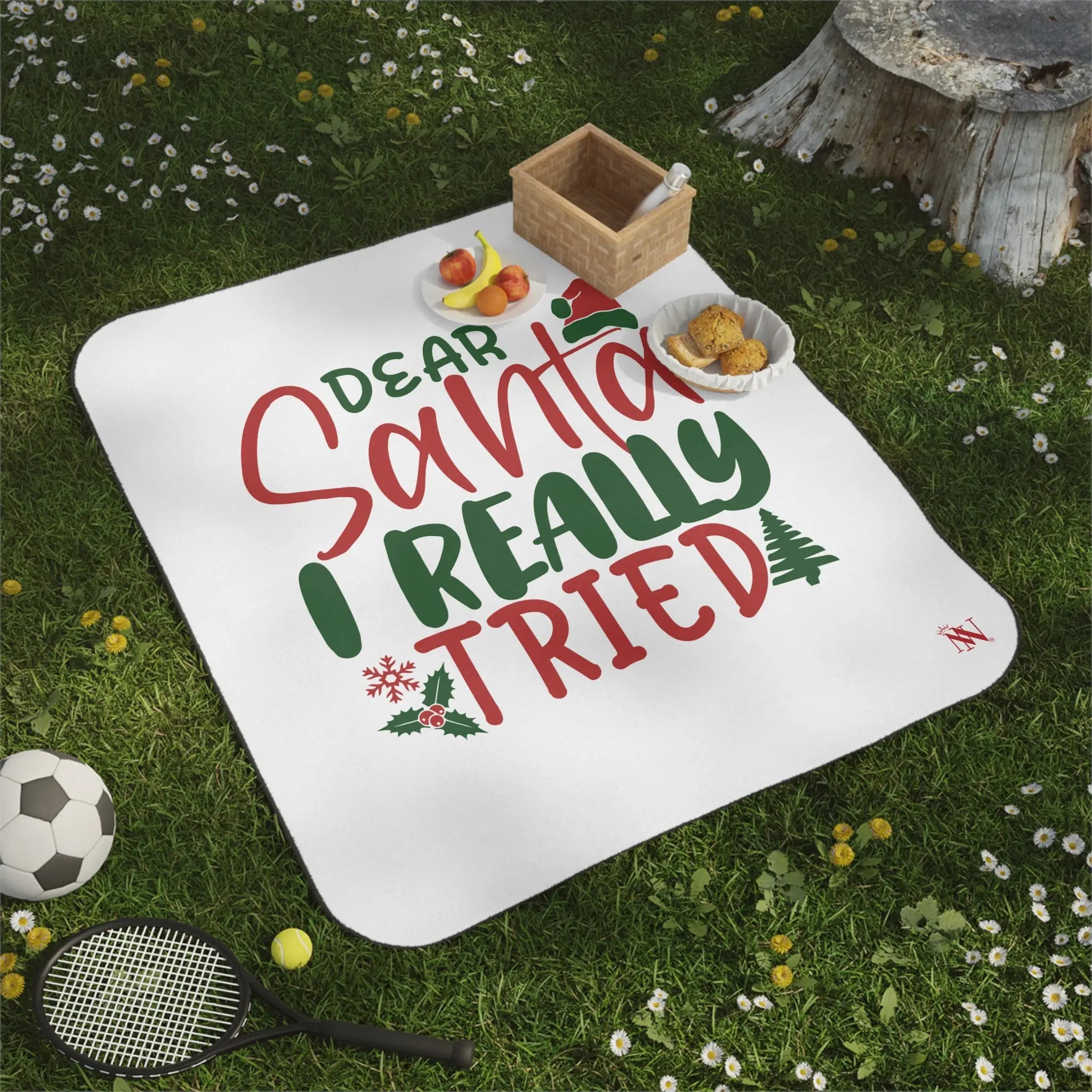 Dear Santa I Really Tried | Mix Match Fun-Flirty Lovers’ Water-Resistant Blankets
