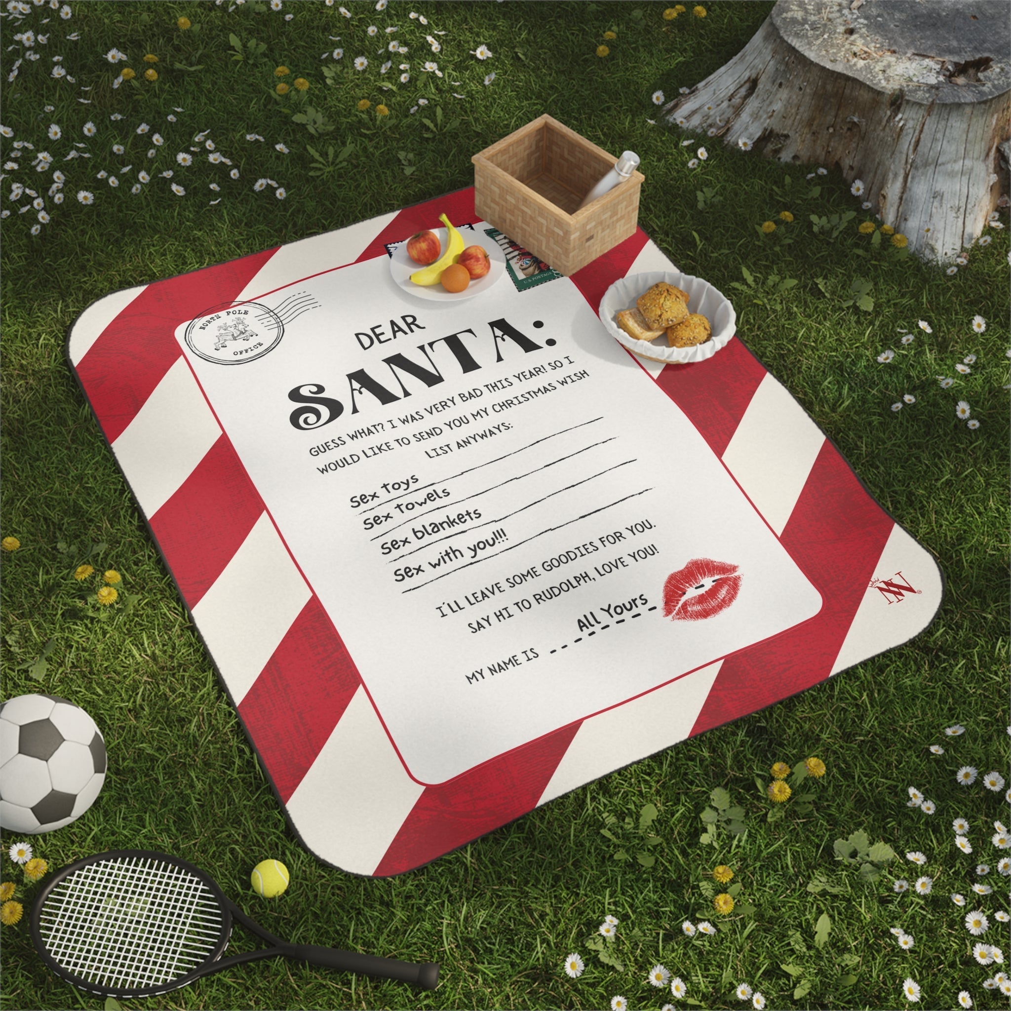 Dear Santa | Mix Match Fun-Flirty Lovers’ Water-Resistant Blankets