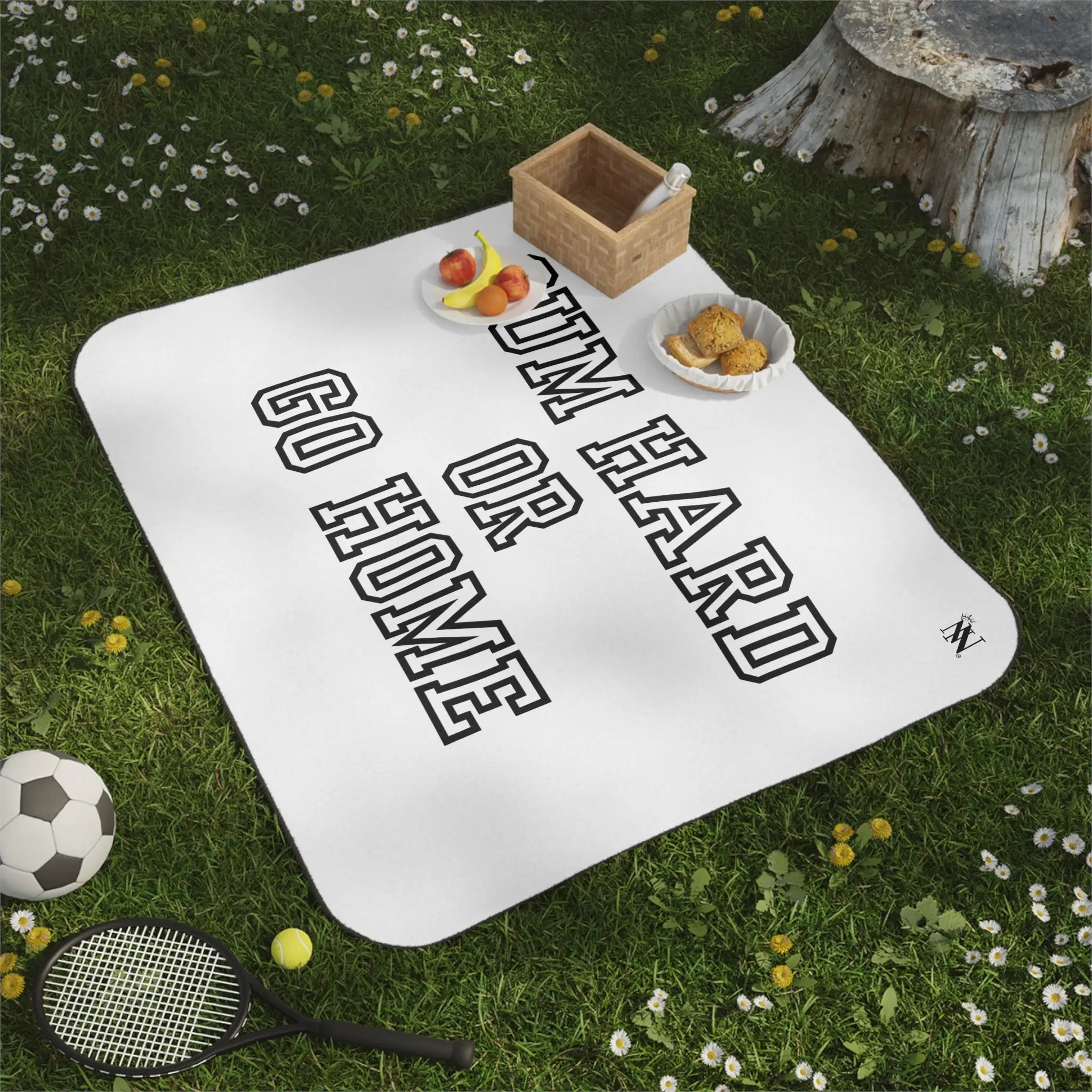 Cum Hard Go Home | Mix Match Fun-Flirty Lovers’ Water-Resistant Blankets