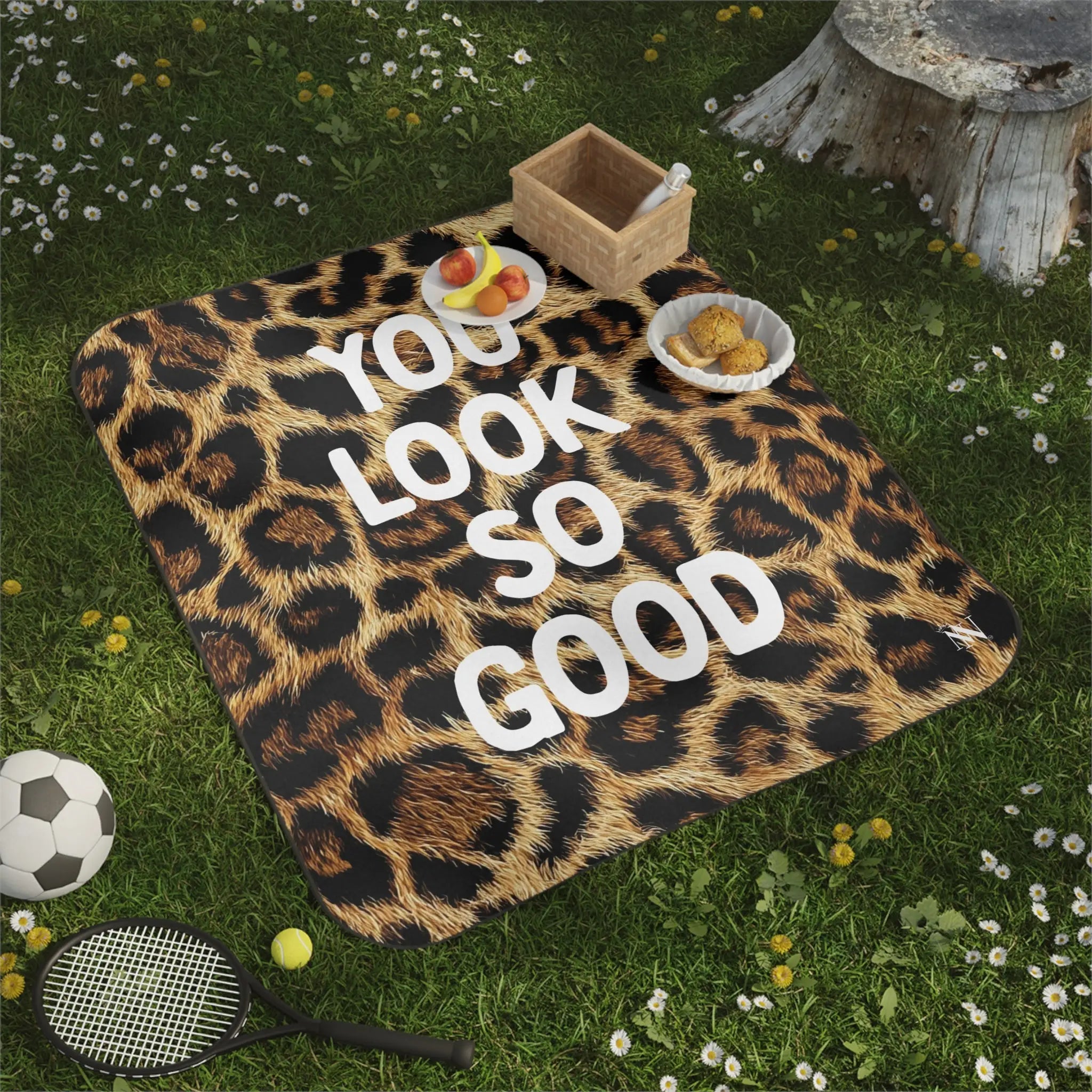 You Look So Good Realistic Cheetah Print Sex Blanket