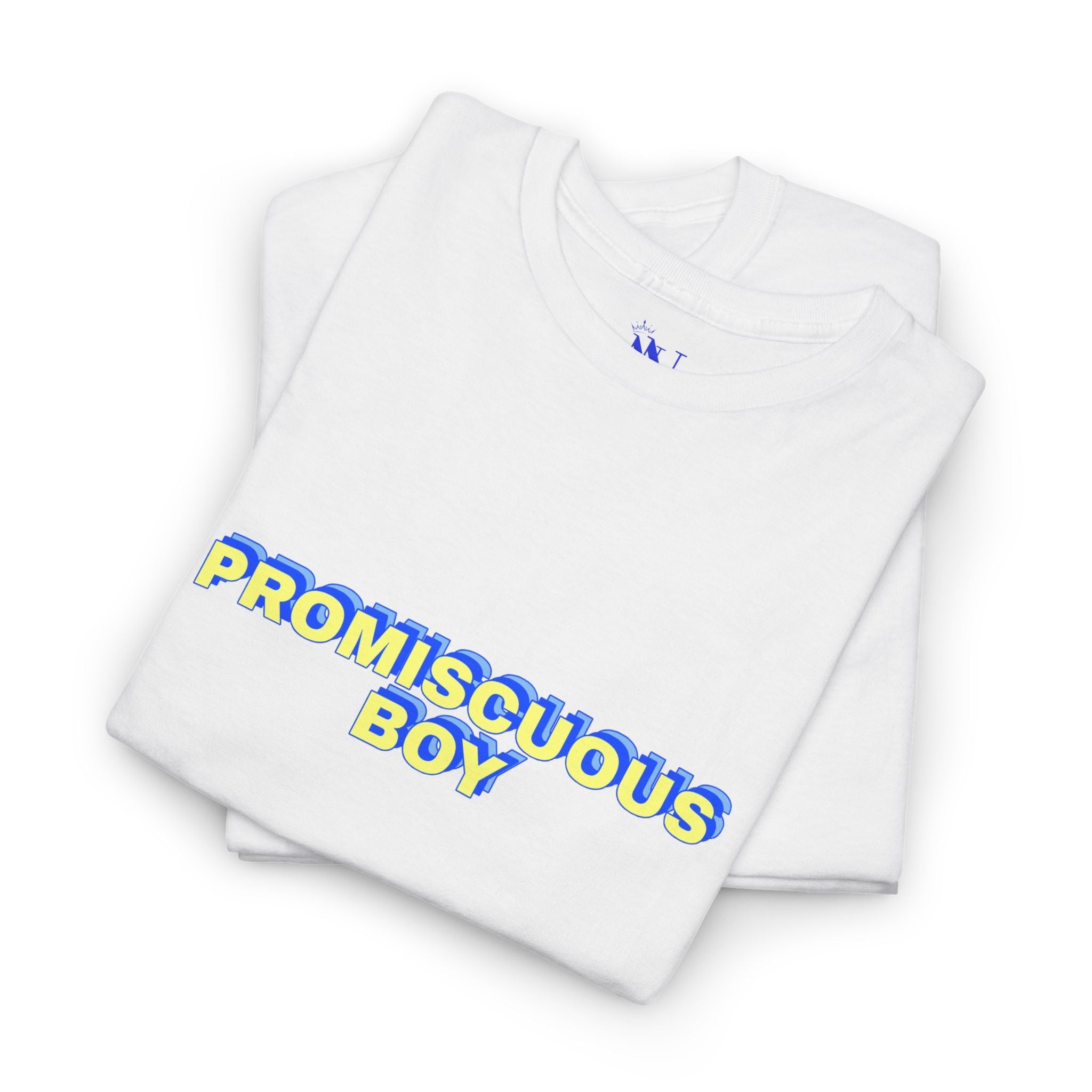 Promiscuous Boy | Mix & Match Cotton Unisex Fun-Flirty Lovers’ T-Shirts