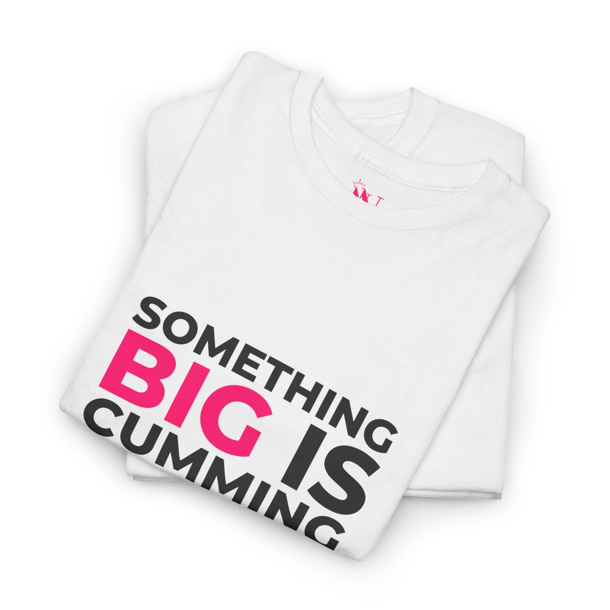 Something Big is Cumming | Mix & Match Cotton Unisex Fun-Flirty Lovers’ T-Shirts