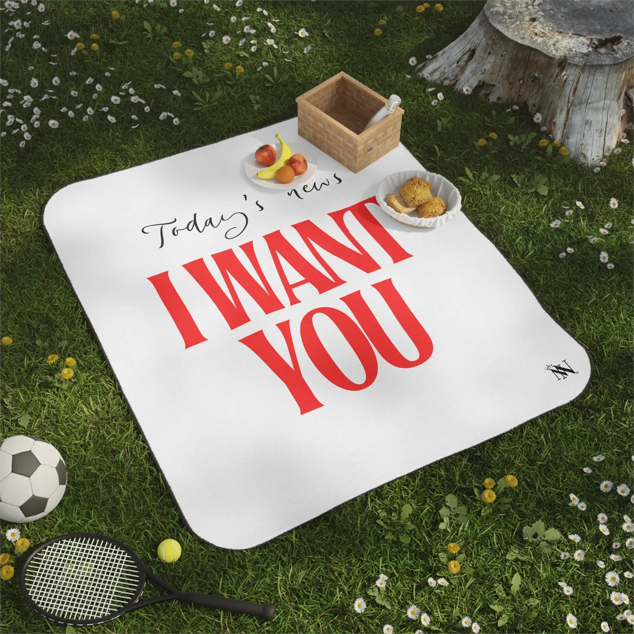 Today’s News I Want You | Mix Match Fun-Flirty Lovers’ Water-Resistant Blankets