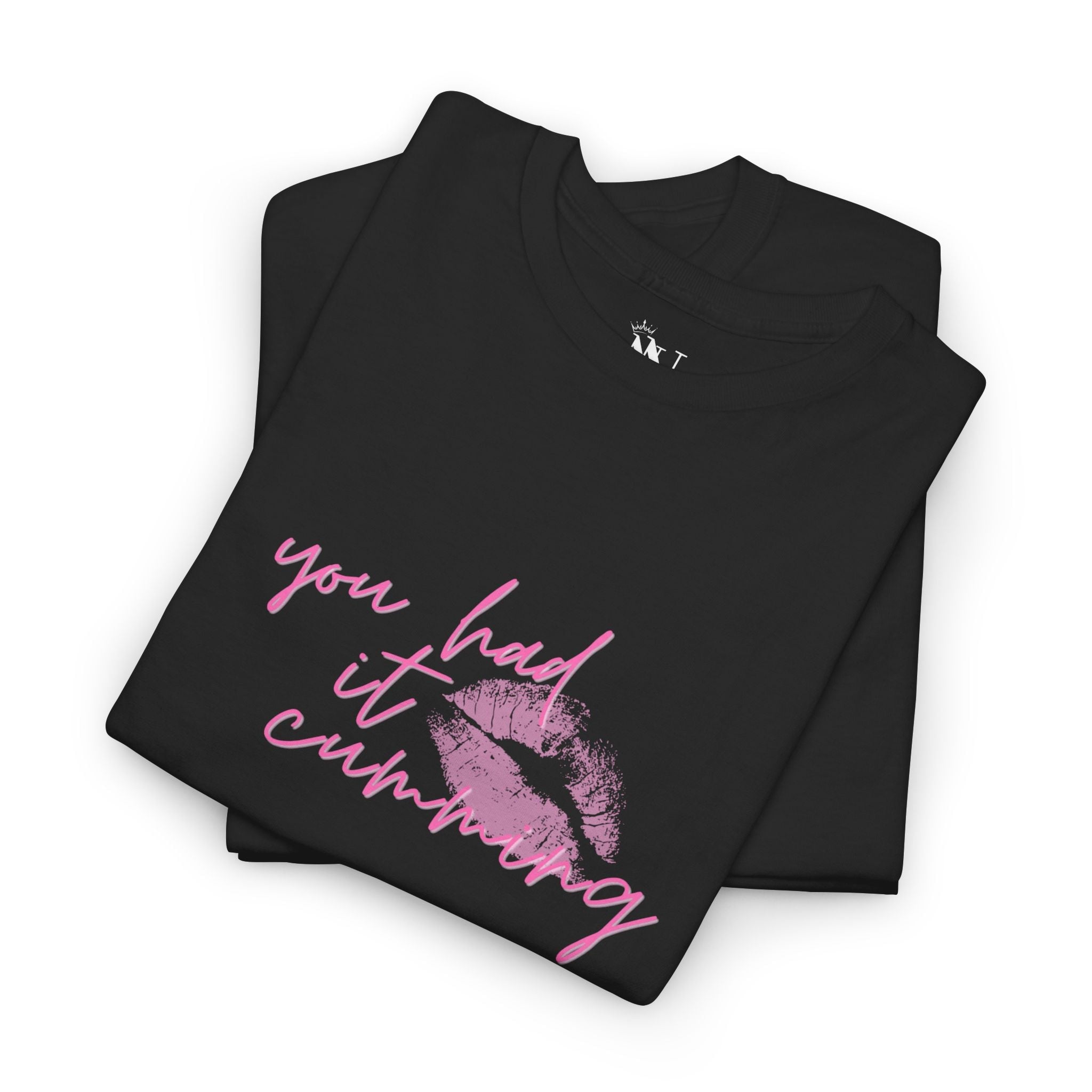 You Had It Cumming | Mix & Match Cotton Unisex Fun-Flirty Lovers’ Tees