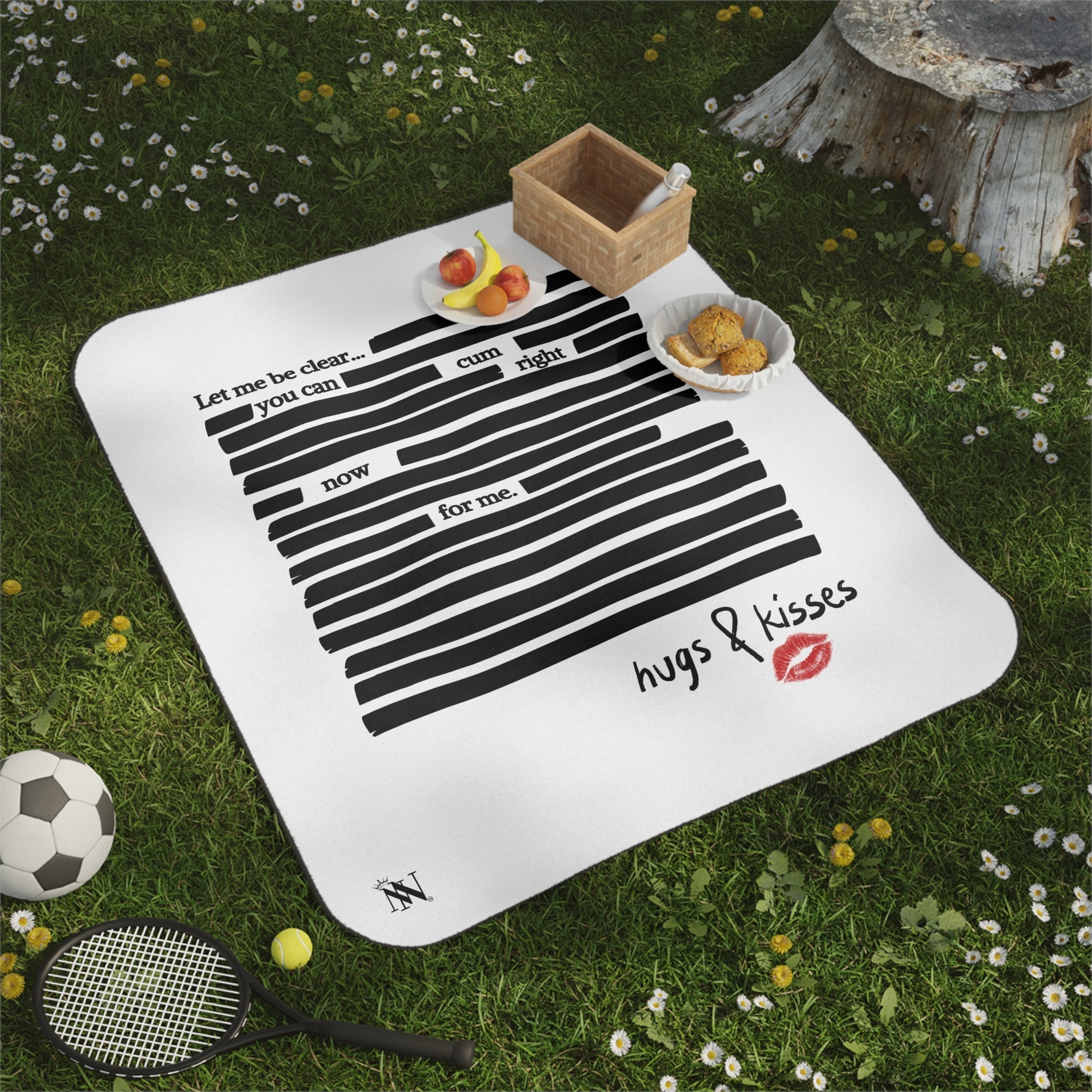 Let Me Be Clear... | Mix Match Fun-Flirty Lovers’ Water-Resistant Blankets