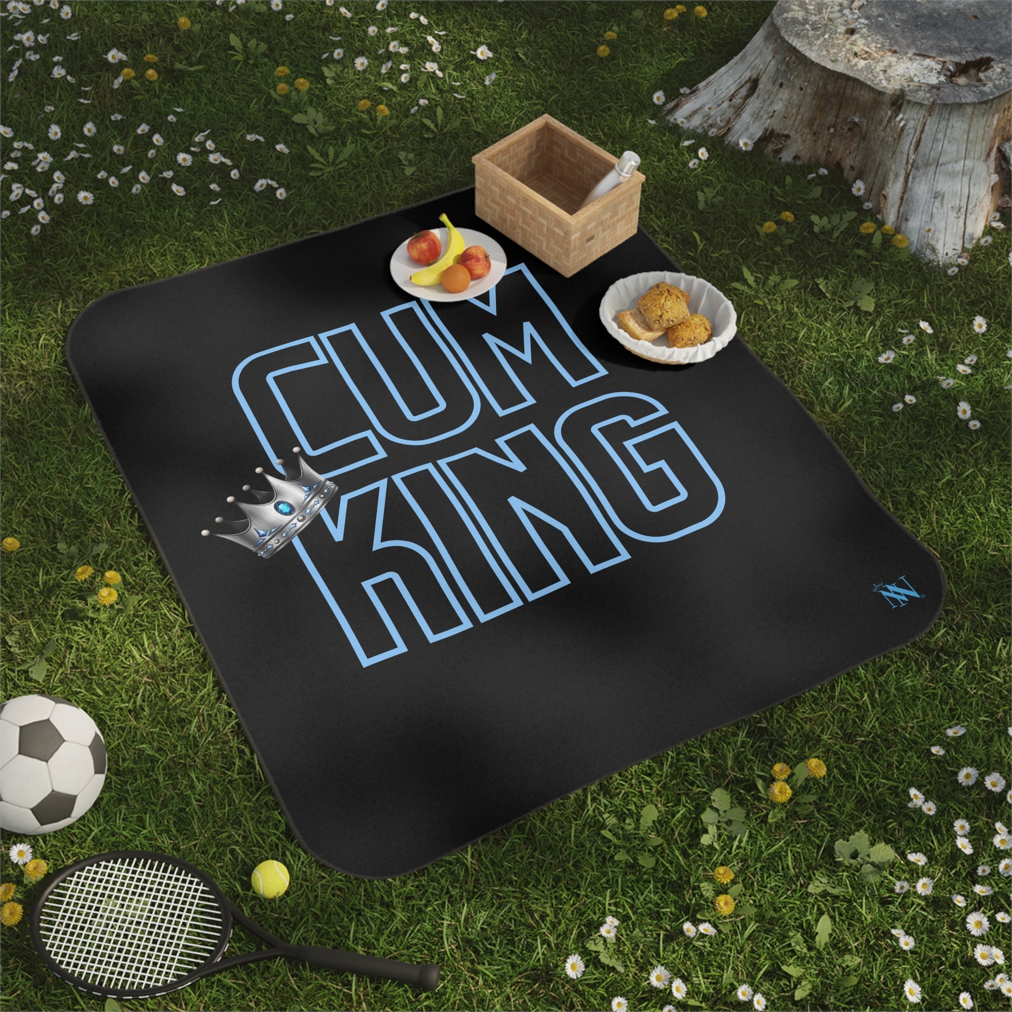 Cum King | Mix Match Fun-Flirty Lovers’ Water-Resistant Blankets