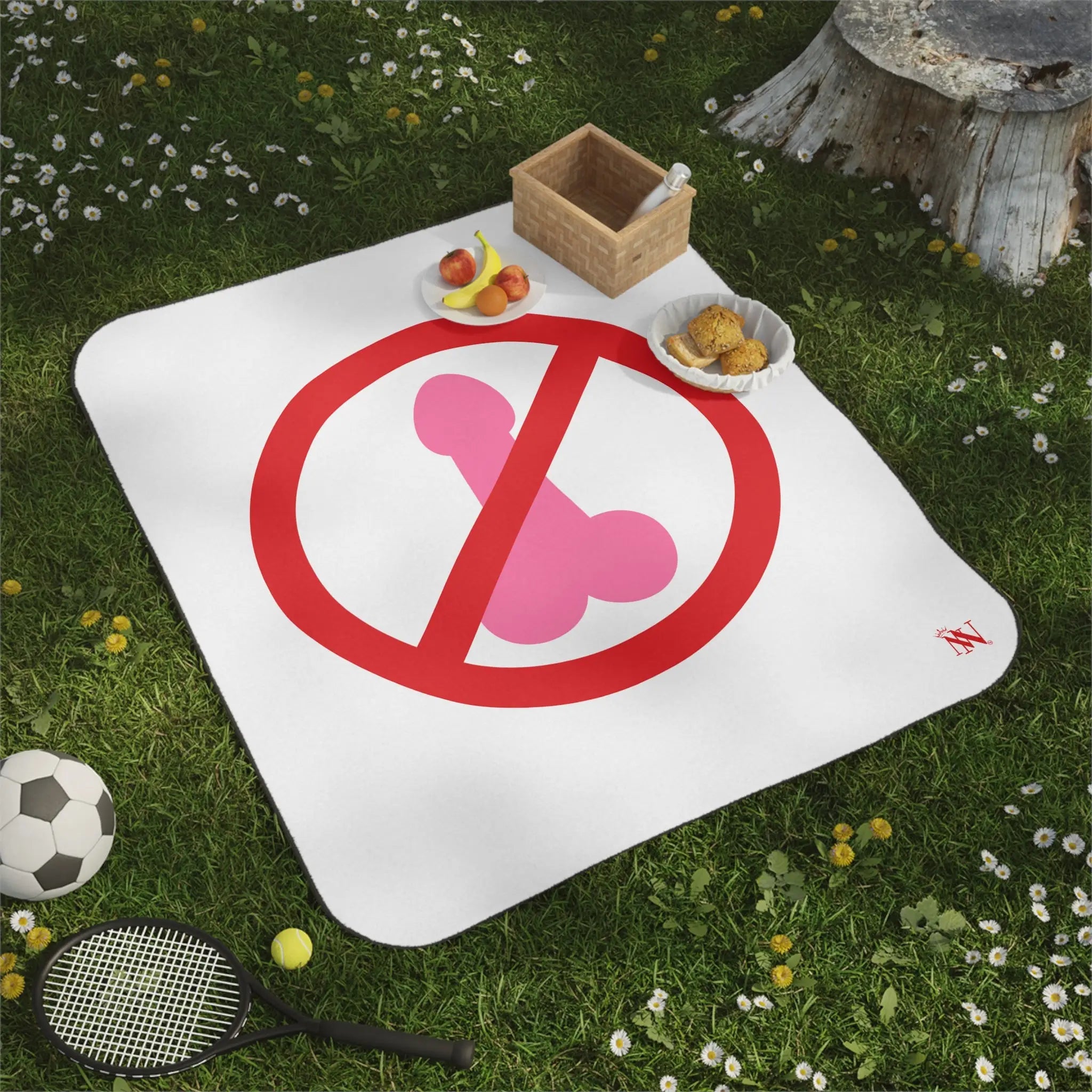 No Dick Allowed | Mix Match Fun-Flirty Lovers’ Water-Resistant Blankets