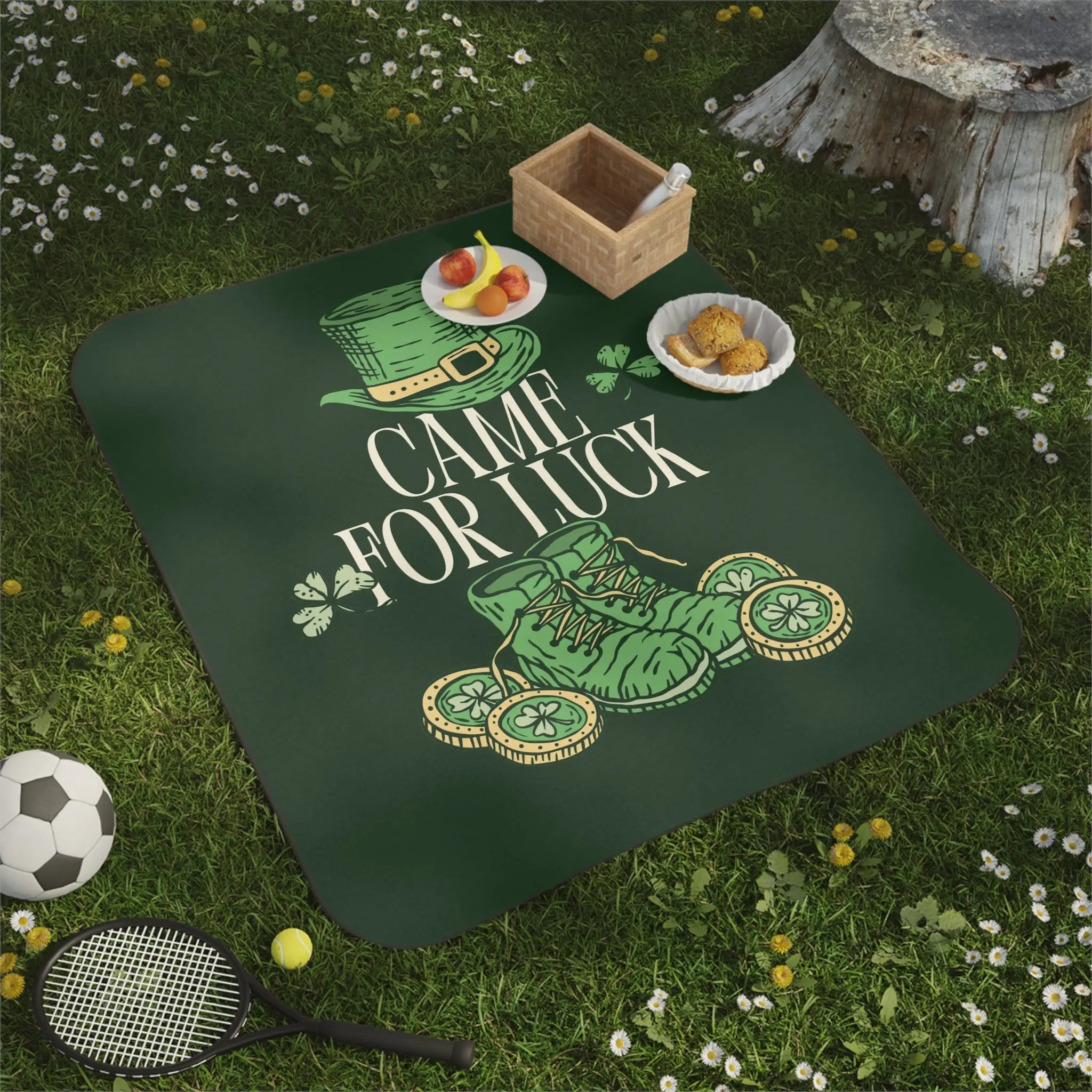 Came for Luck St. Patrick’s Day Storage Friendly Water-Resistant Sex Blanket