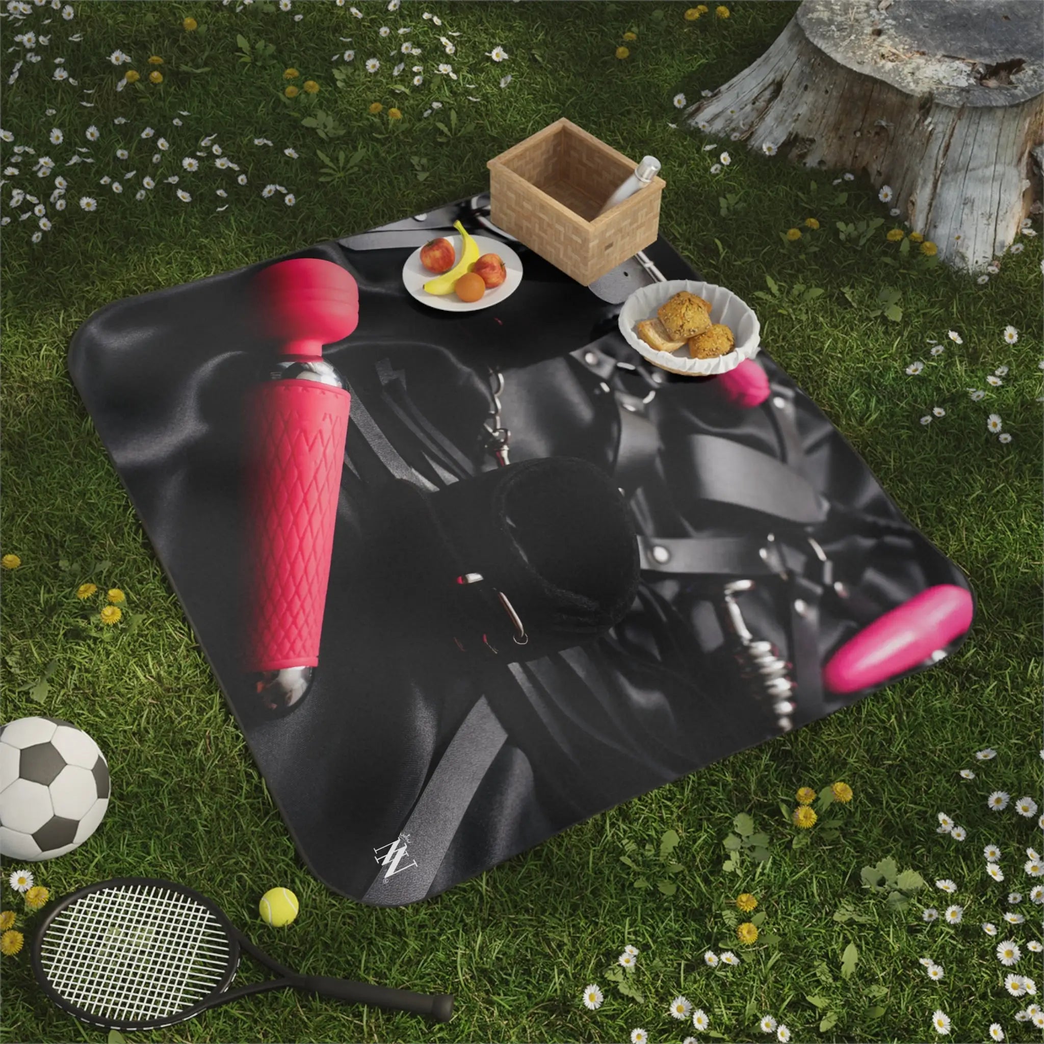 Sex Toys & Cuffs Photograph Sex Blanket