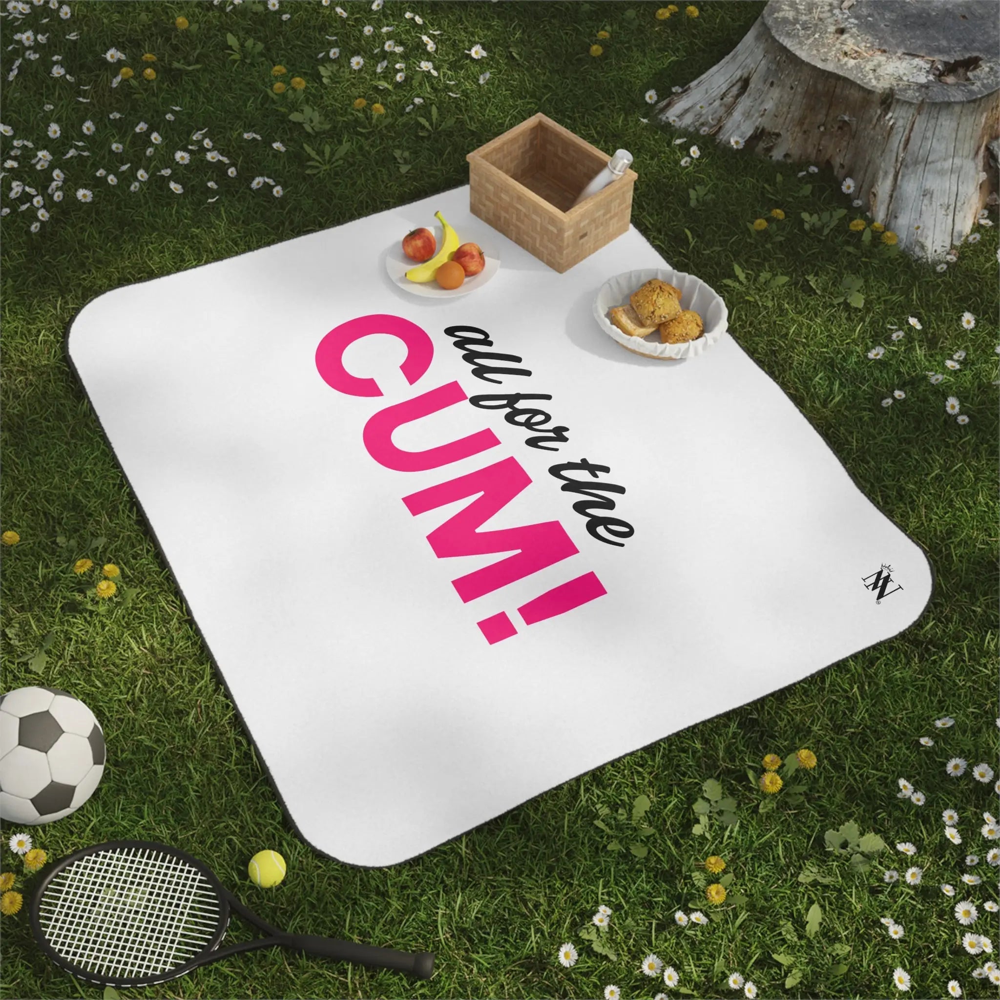 All for the Cum! | Mix Match Fun-Flirty Lovers’ Water-Resistant Blankets