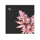 Beautiful Bud 420 | Mix & Match Lils’ Fun-Flirty Lovers’ Towels