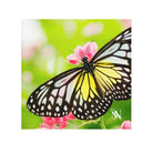 Beautiful Butterfly | Mix & Match Lils’ Fun-Flirty Lovers’ Towels