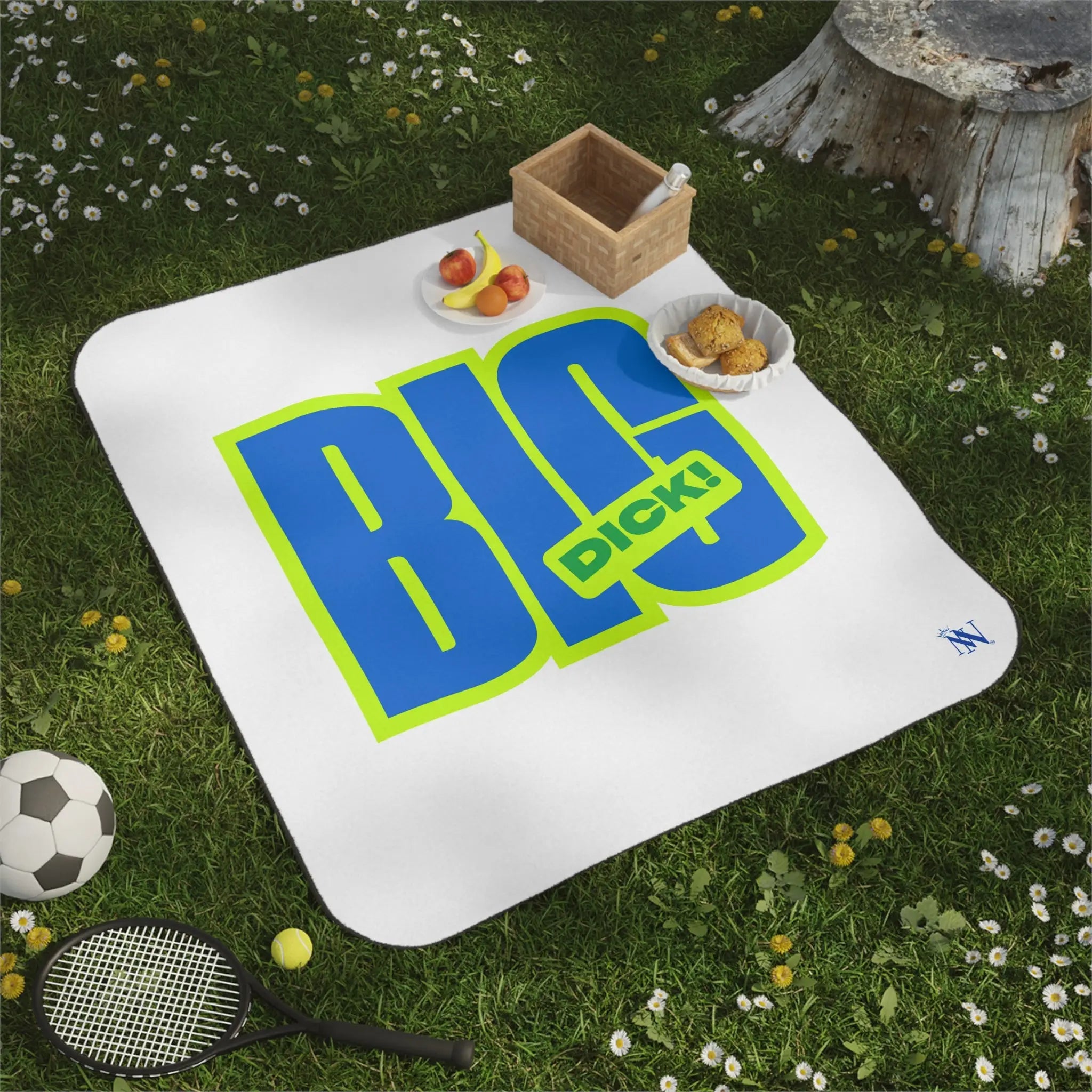Big Dick! | Mix Match Fun-Flirty Lovers’ Water-Resistant Blankets
