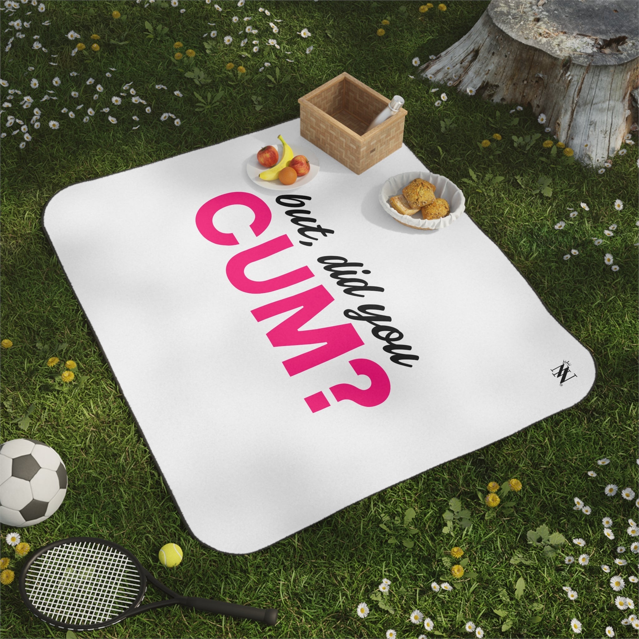 But Did You Cum? | Mix Match Fun-Flirty Lovers’ Water-Resistant Blankets
