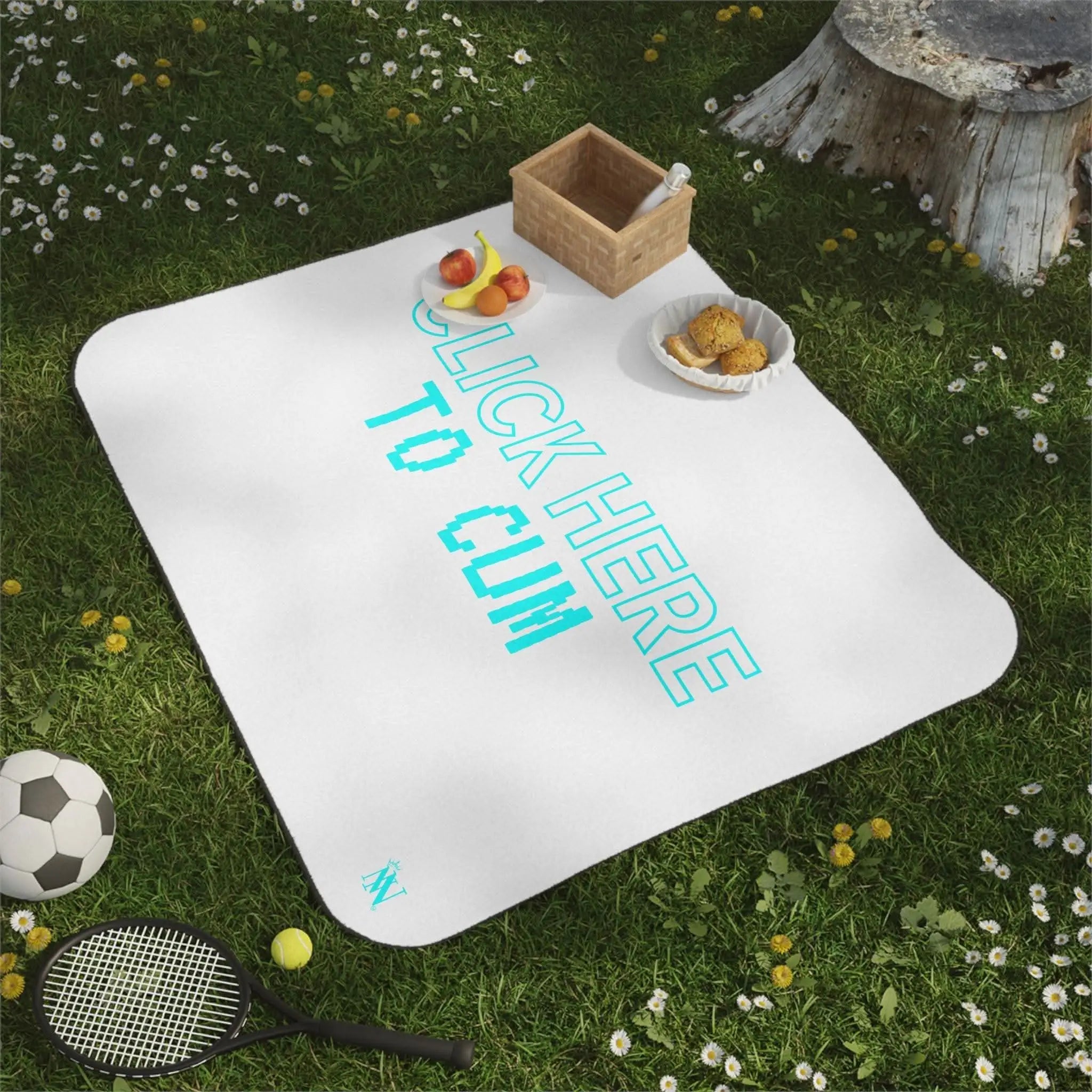 Click Here To Cum | Mix Match Fun-Flirty Lovers’ Water-Resistant Blankets