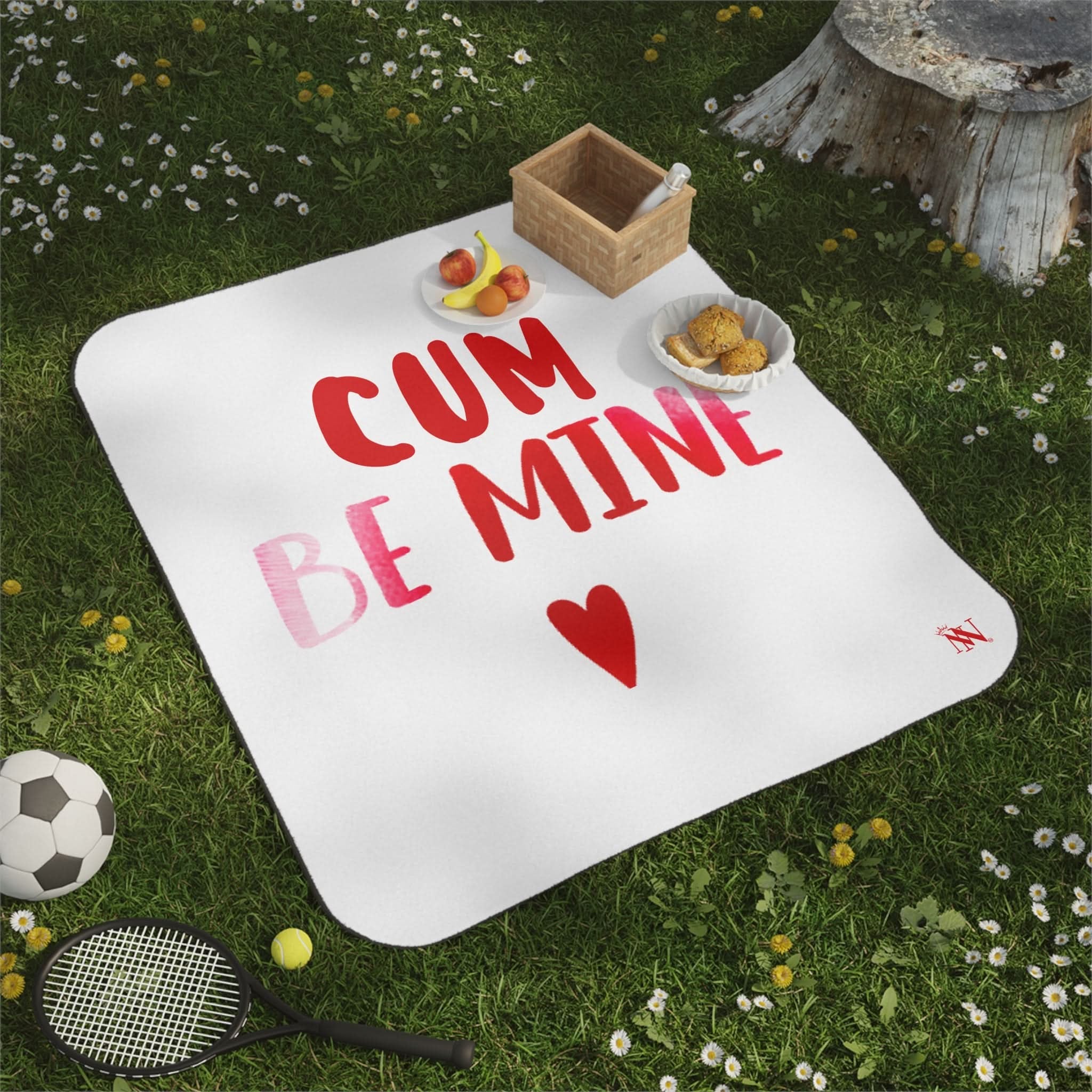 Cum Be Mine | Mix Match Fun-Flirty Lovers’ Water-Resistant Blankets