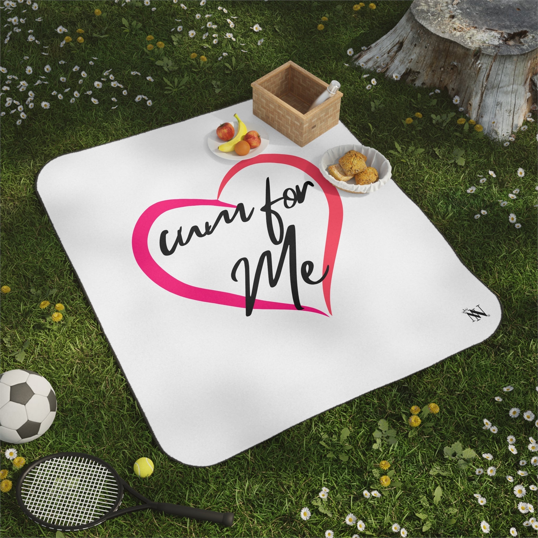 Cum for Me | Mix Match Fun-Flirty Lovers’ Water-Resistant Blankets