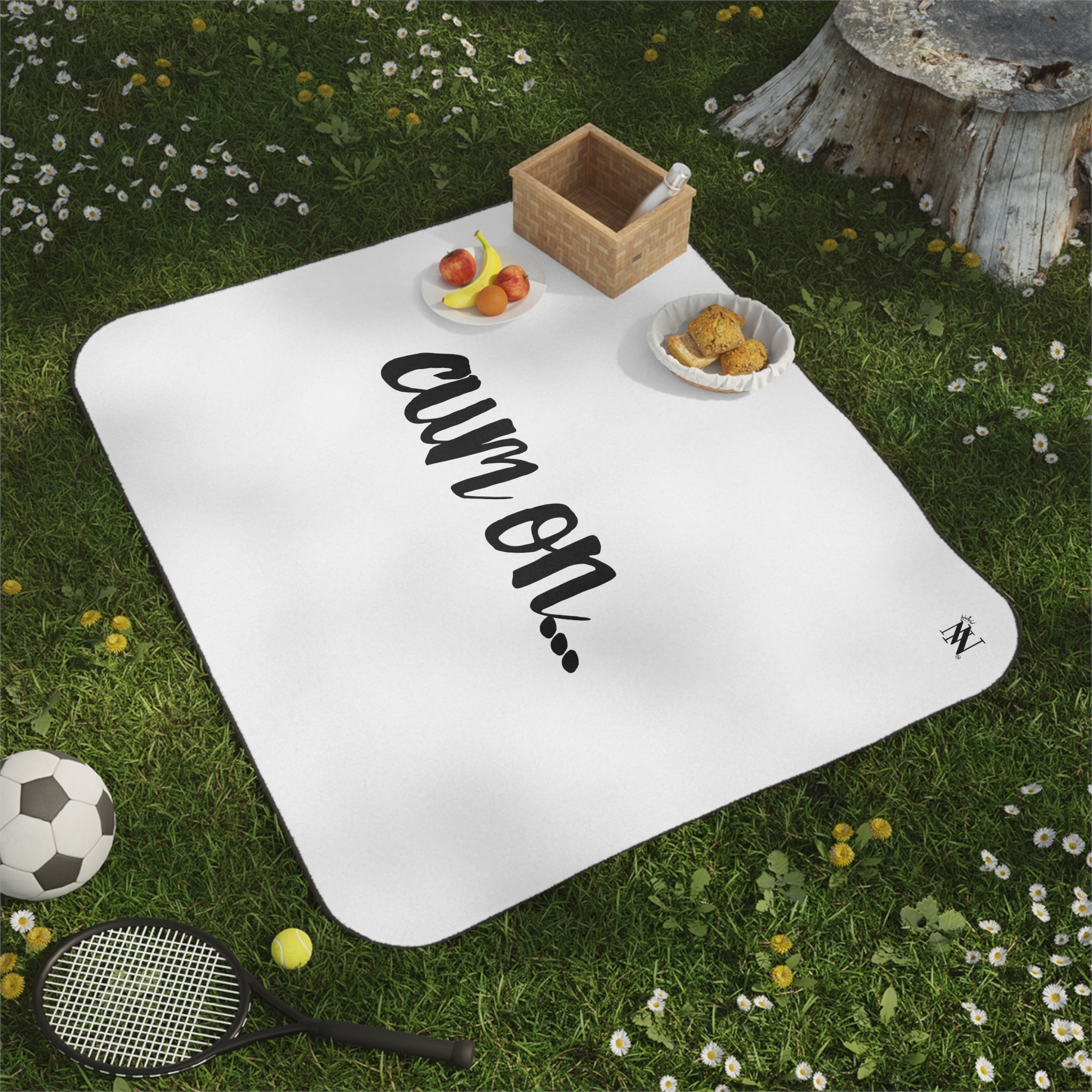 Cum On... | Mix Match Fun-Flirty Lovers’ Water-Resistant Blankets