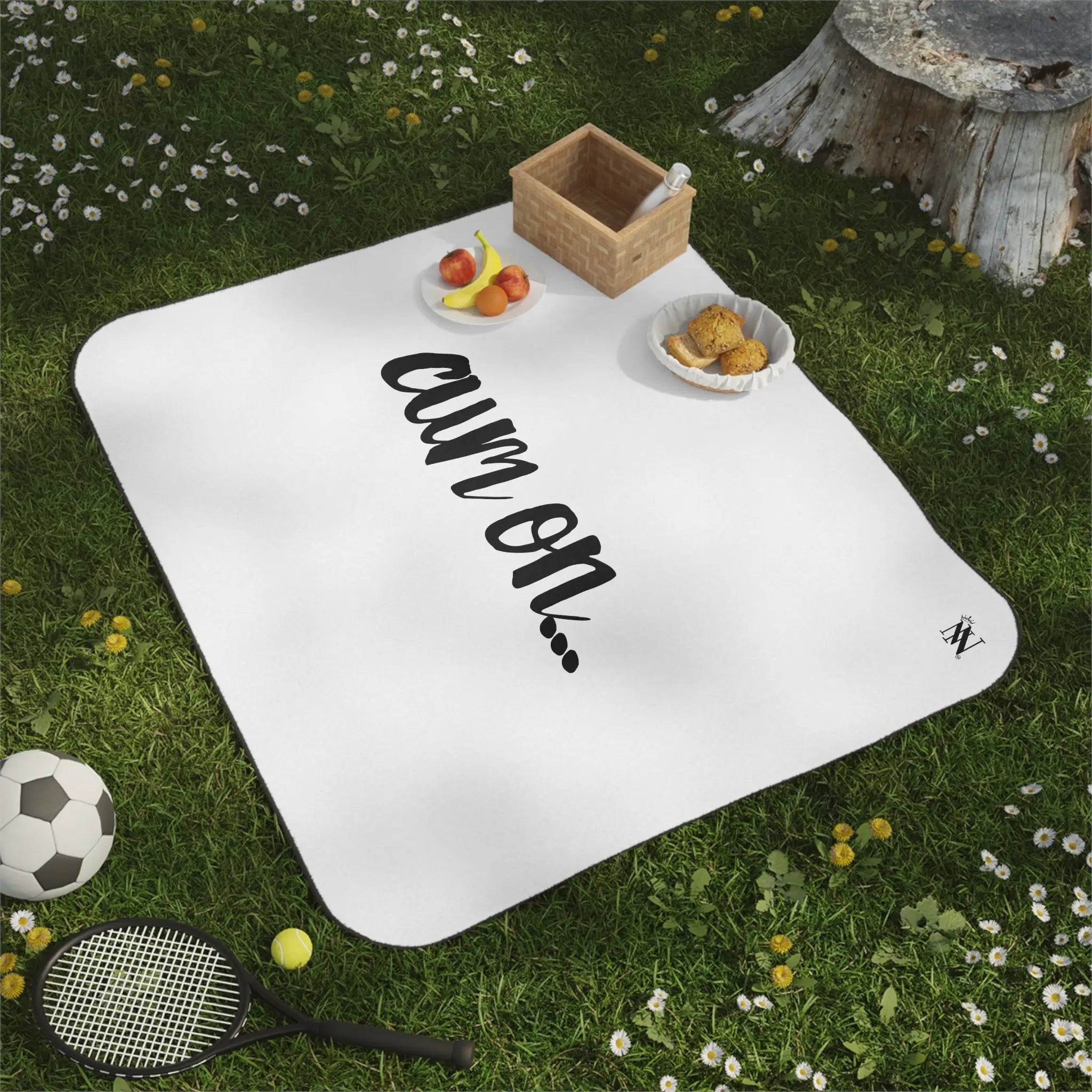 Cum On... | Mix Match Fun-Flirty Lovers’ Water-Resistant Blankets