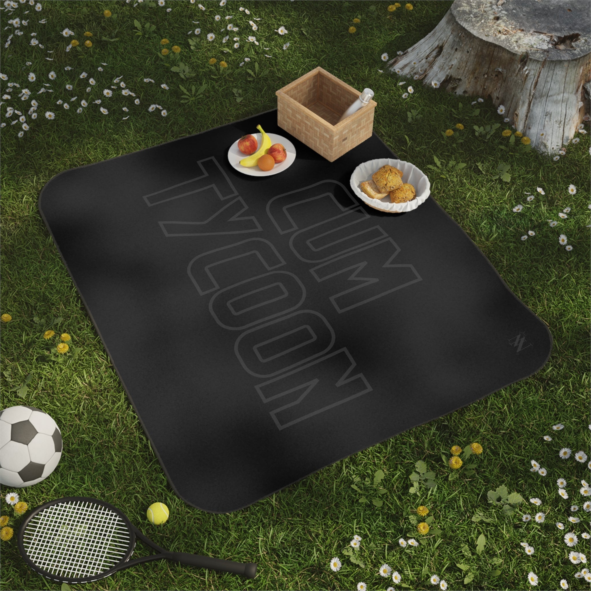 Cum Tycoon | Mix Match Fun-Flirty Lovers’ Water-Resistant Blankets