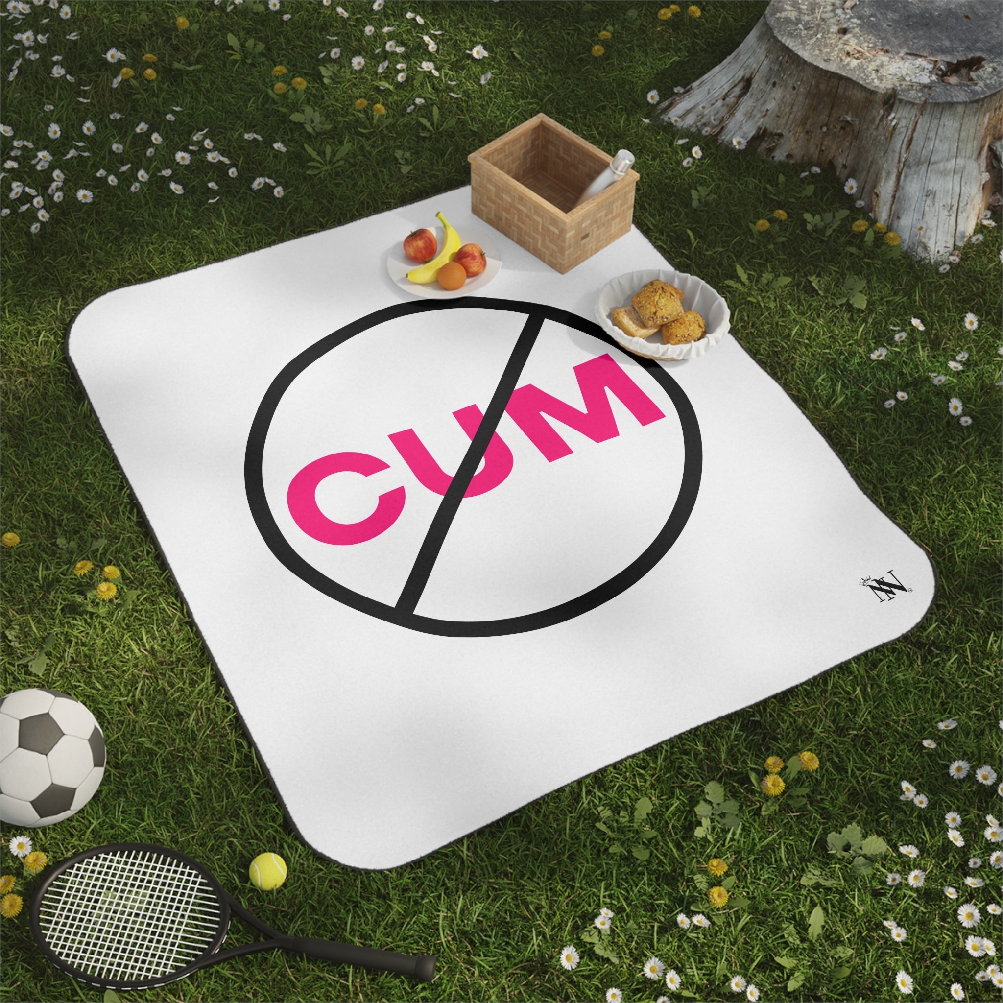 Don’t Cum | Mix Match Fun-Flirty Lovers’ Water-Resistant Blankets