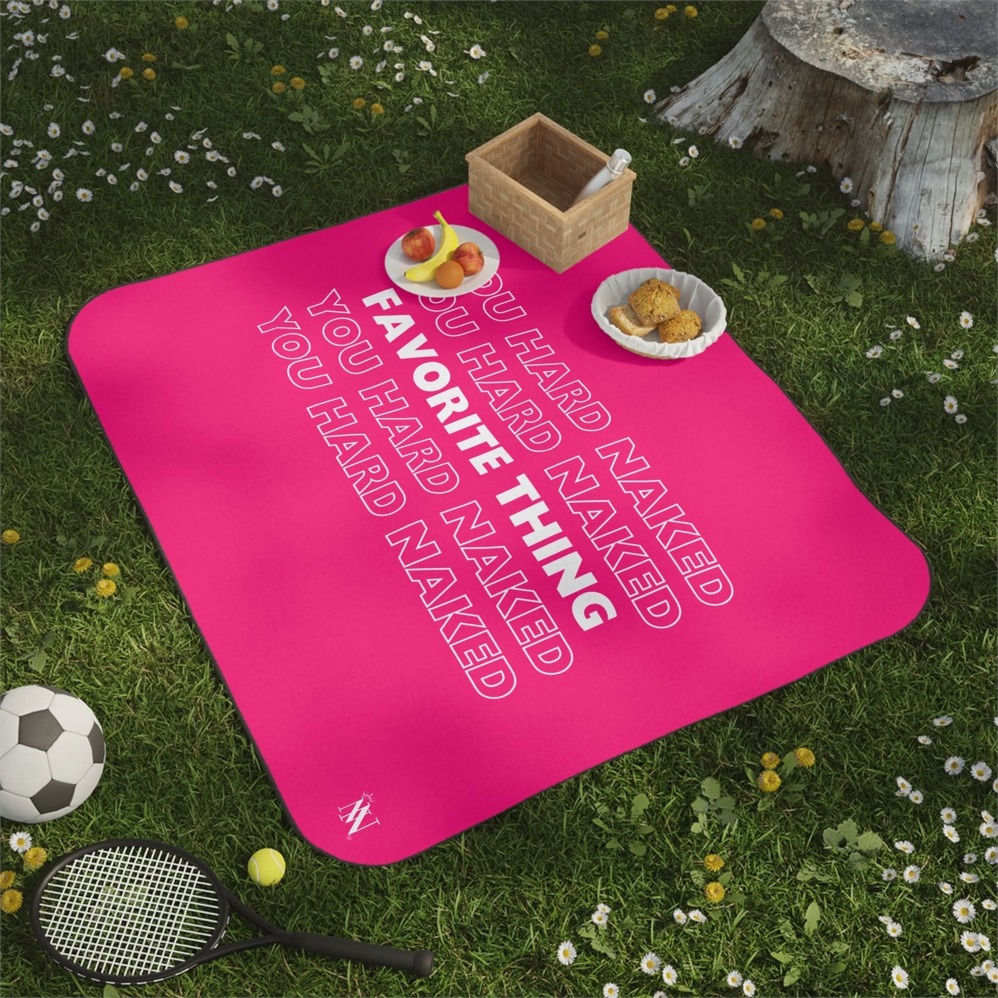 Favorite Thing You Hard | Mix Match Fun-Flirty Lovers’ Water-Resistant Blankets